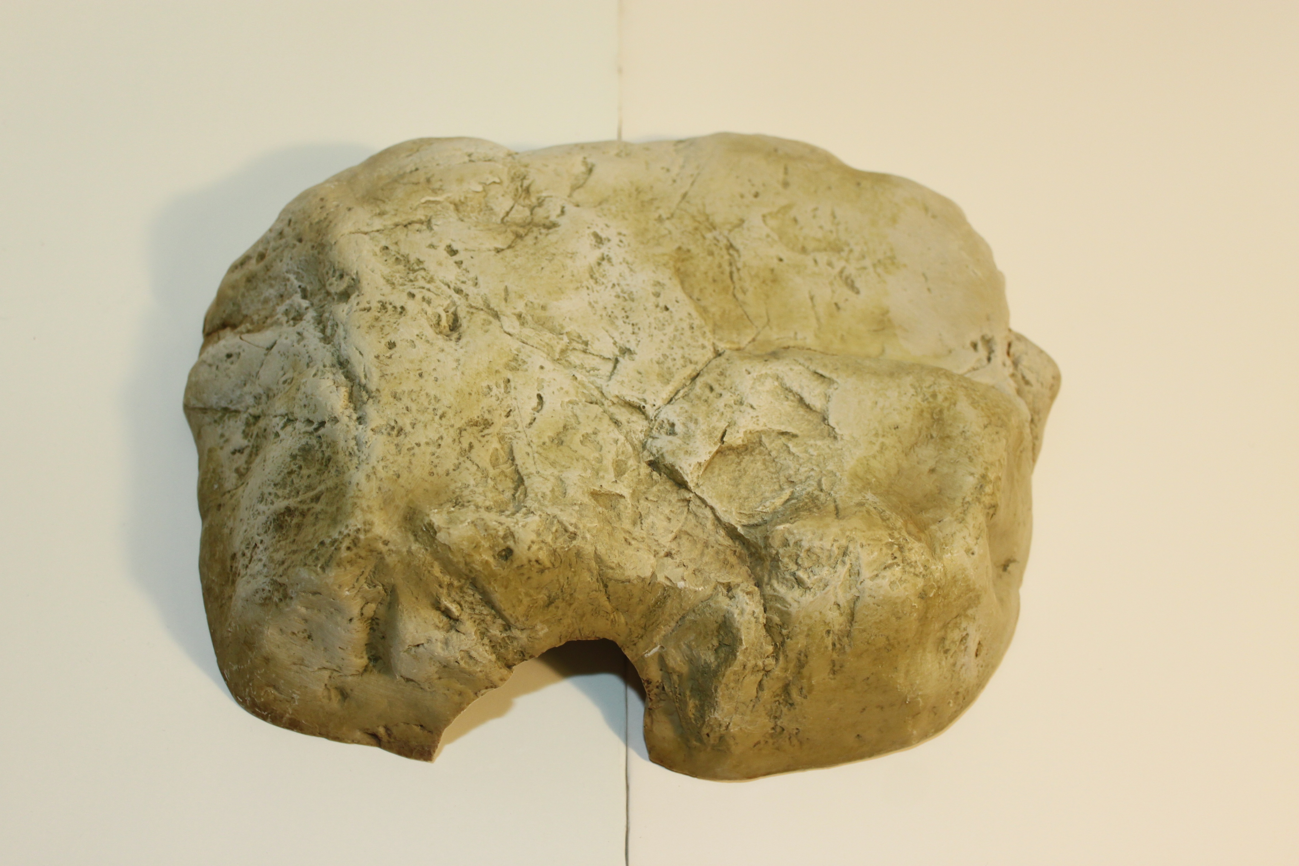 Exo Terra Hiding Cave - Large - photo 2