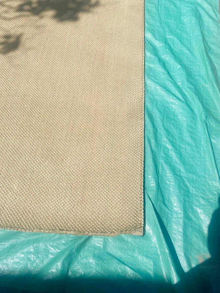 Seagrass rug