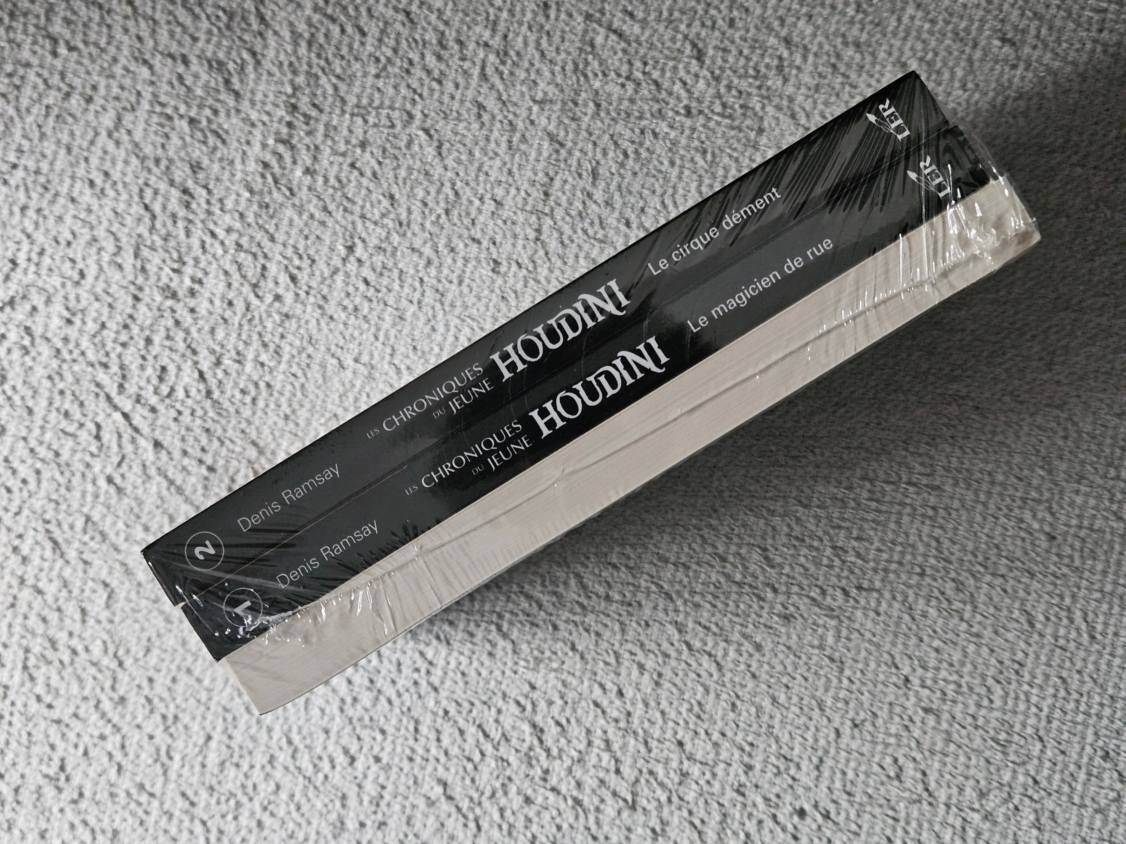 Denis Ramsay - Les Chroniques du Jeune Houdini (Books 1, 2, & 3) - photo 4