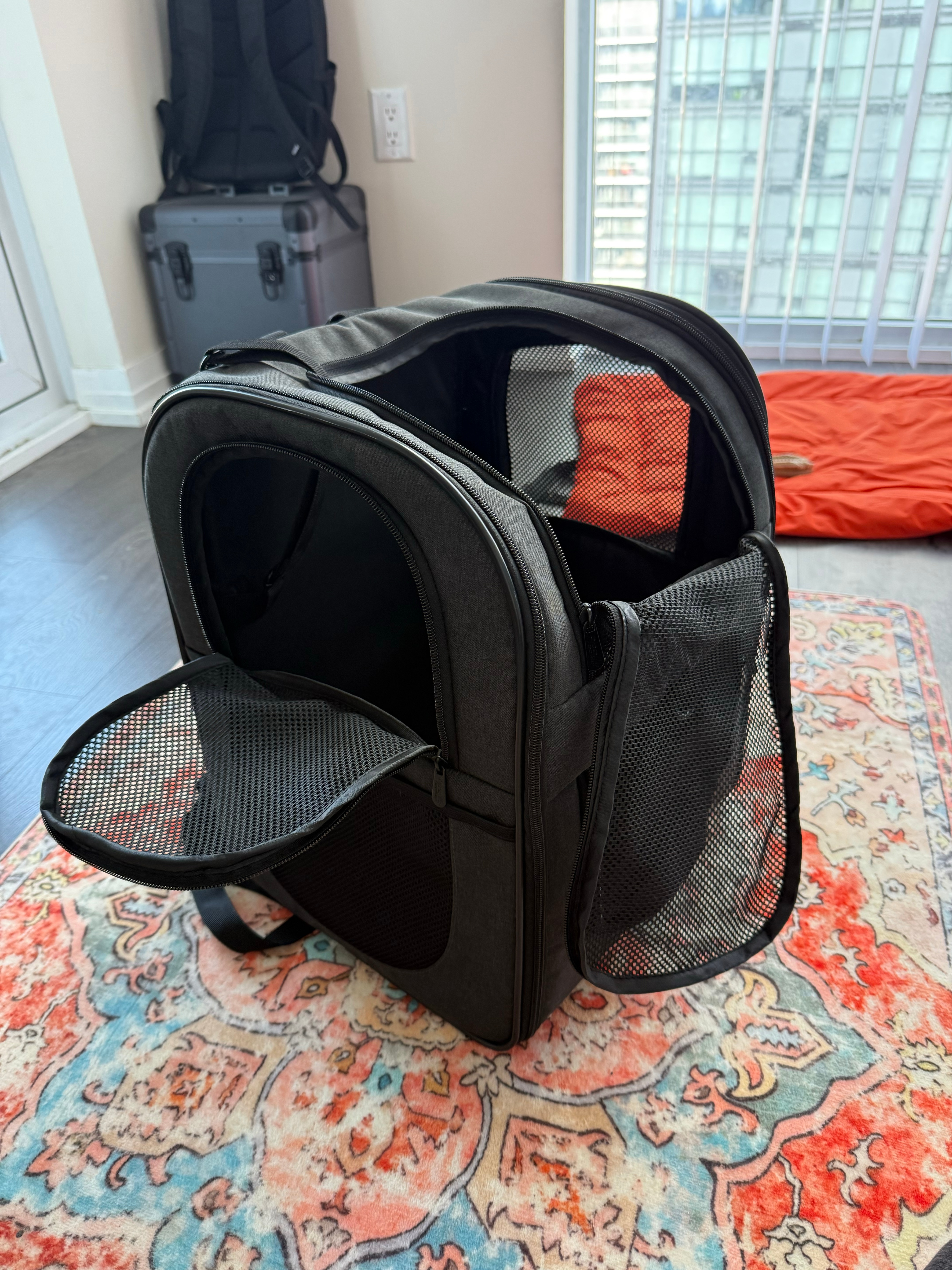 Pet Carrier Backpack for 4-15lb Cats and Dogs- like new