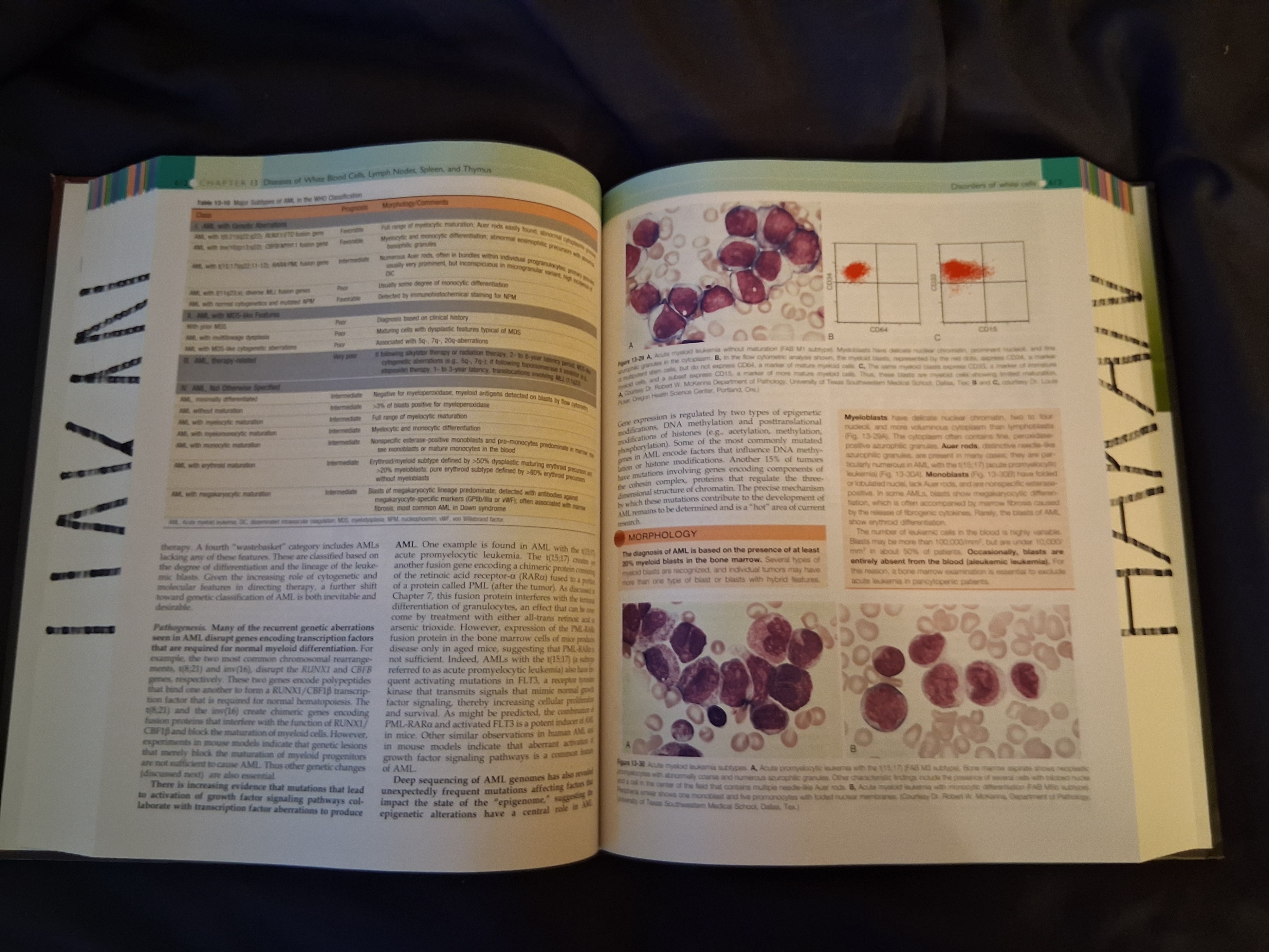 Medical Book - photo 3