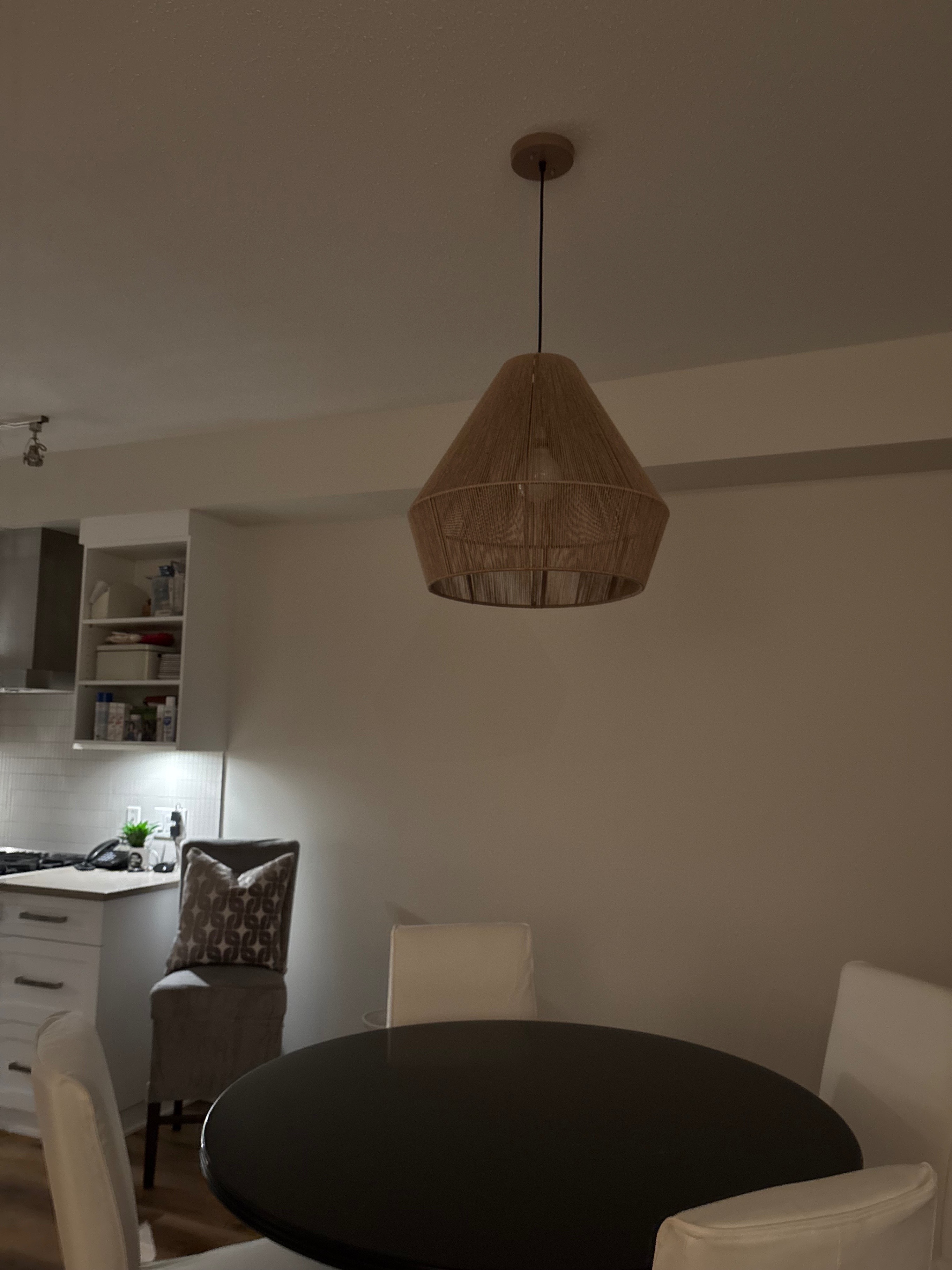 light fixture-single light - photo 2
