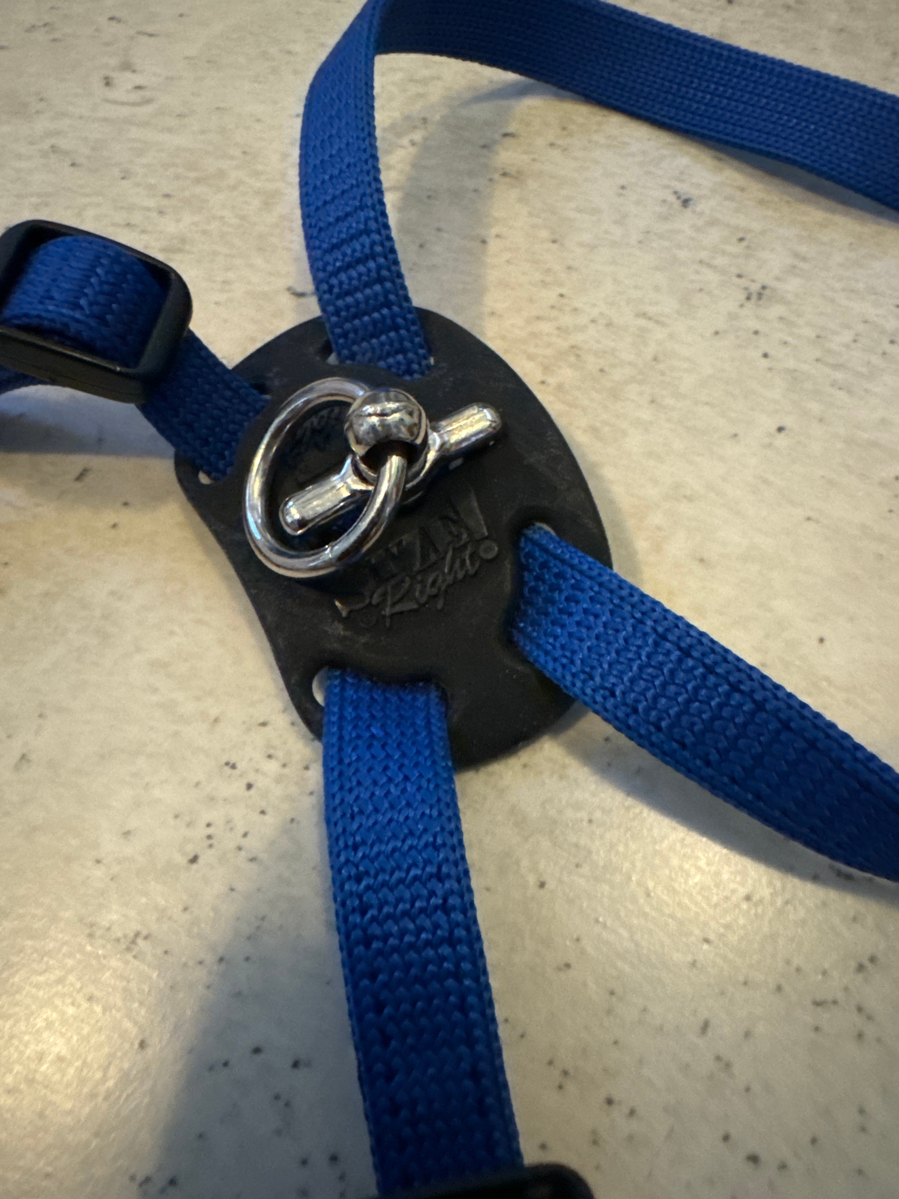 🏆 Coastal - Size Right - Snag-Proof Adjustable Cat Harness - photo 3