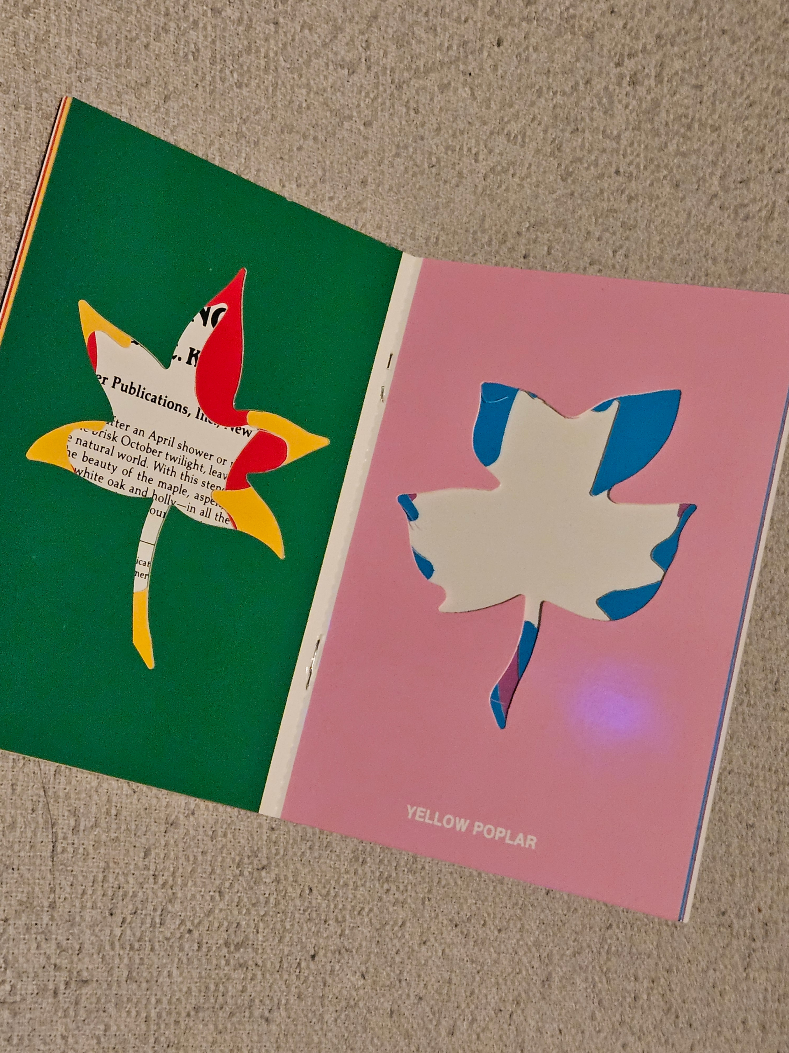 Paul E. Kennedy - Fun With Stencils Books - photo 4
