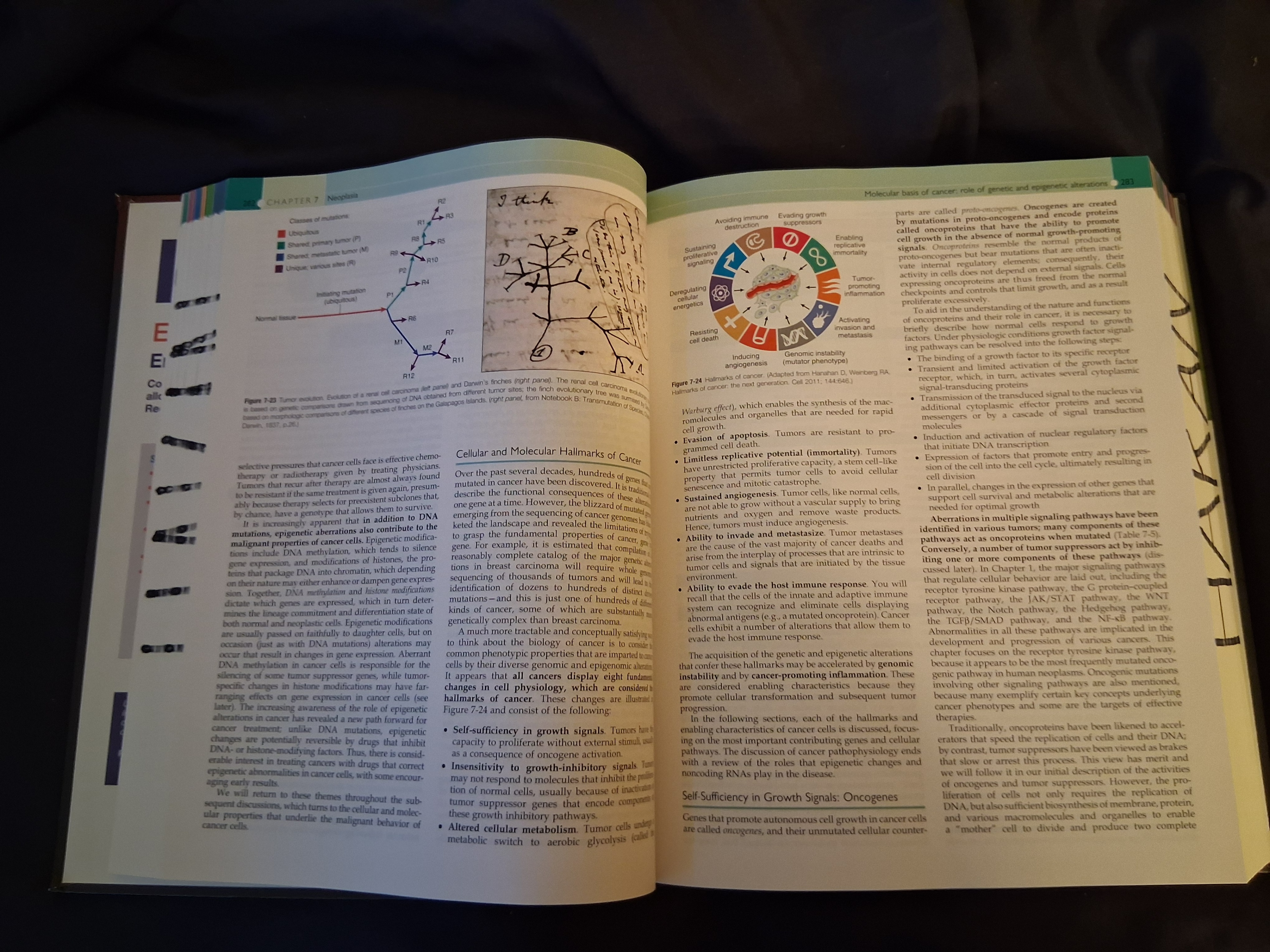 Medical Book - photo 2