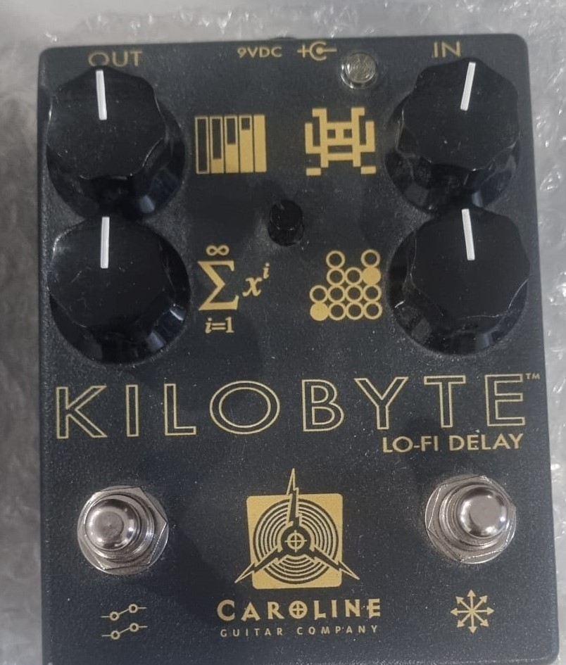 Caroline Kilobyte Lo-Fi Delay ASKING - photo 2