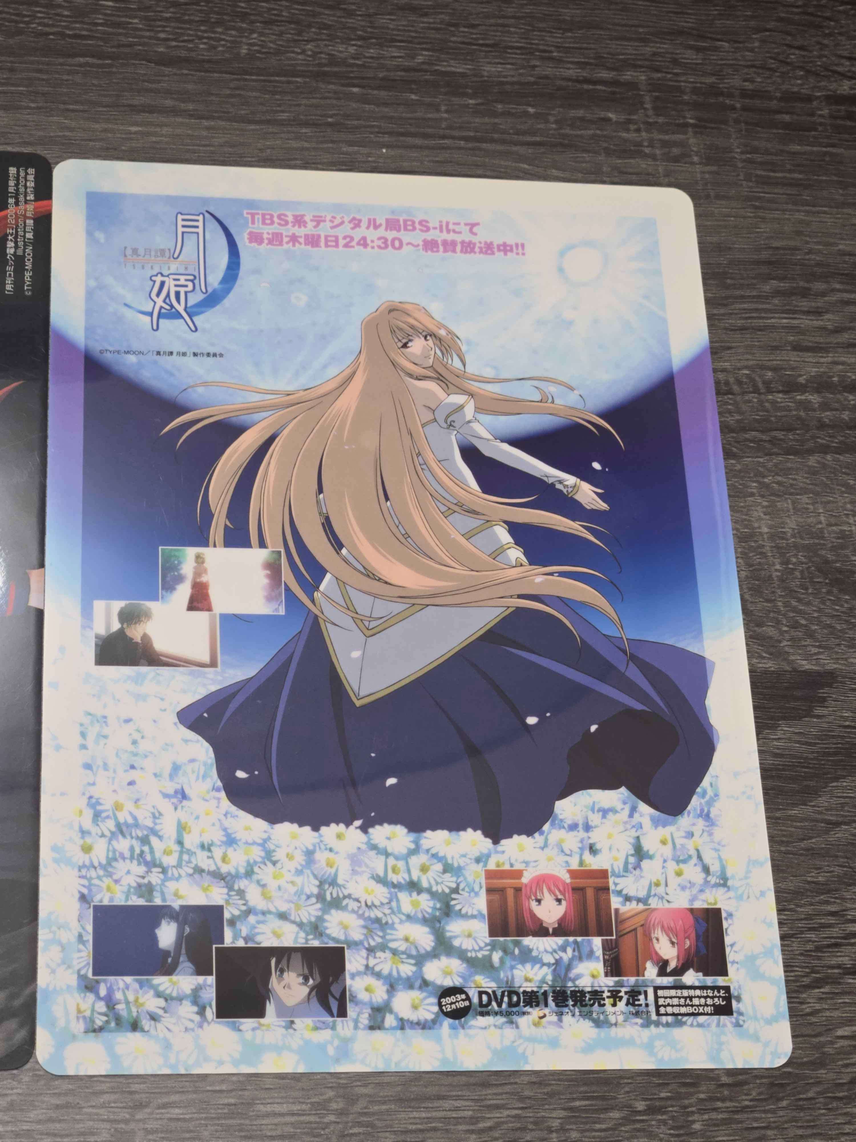 Tsukihime Anime Clear Files (2pcs Set) - photo 2