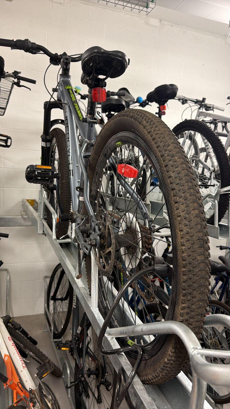 Rarely used- set of two adult Bikes comes with bells, a basket