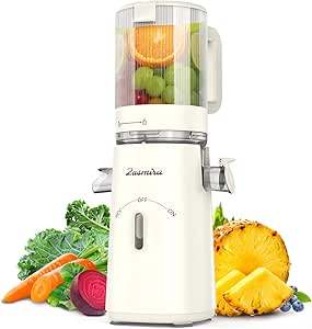 Cold Press Juicer