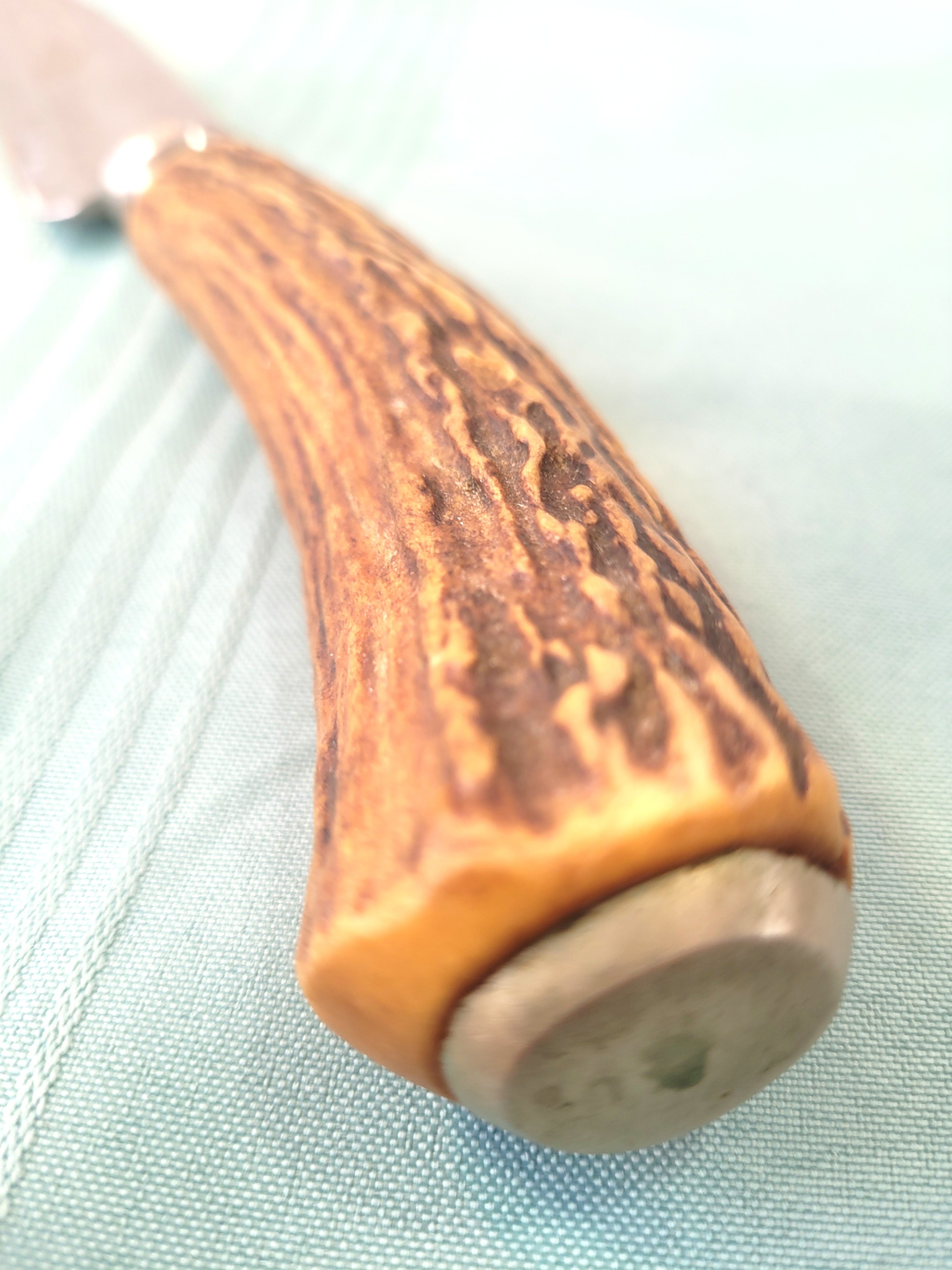 Antique Sheffield Carving Knife: 1920s Stag Handle Antler - photo 2