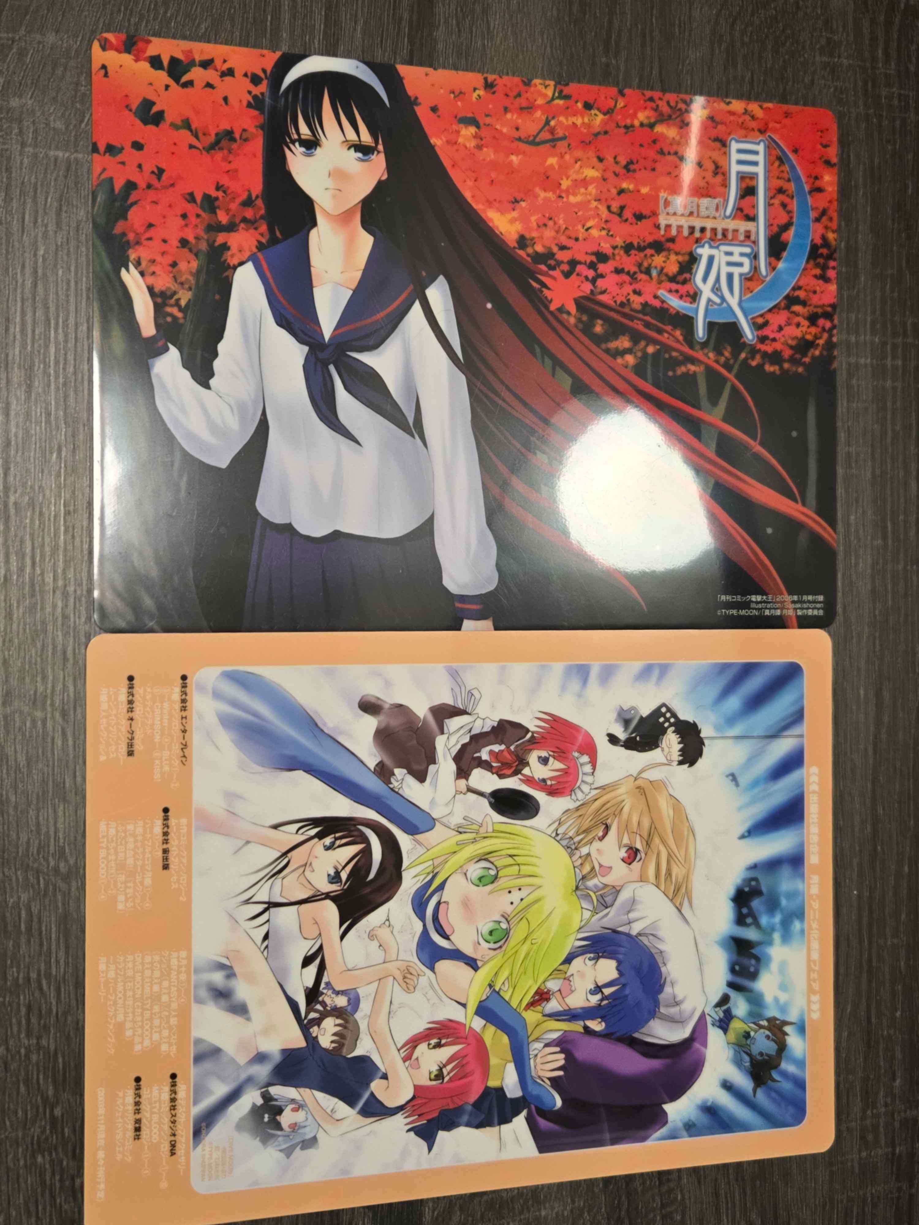 Tsukihime Anime Clear Files (2pcs Set)