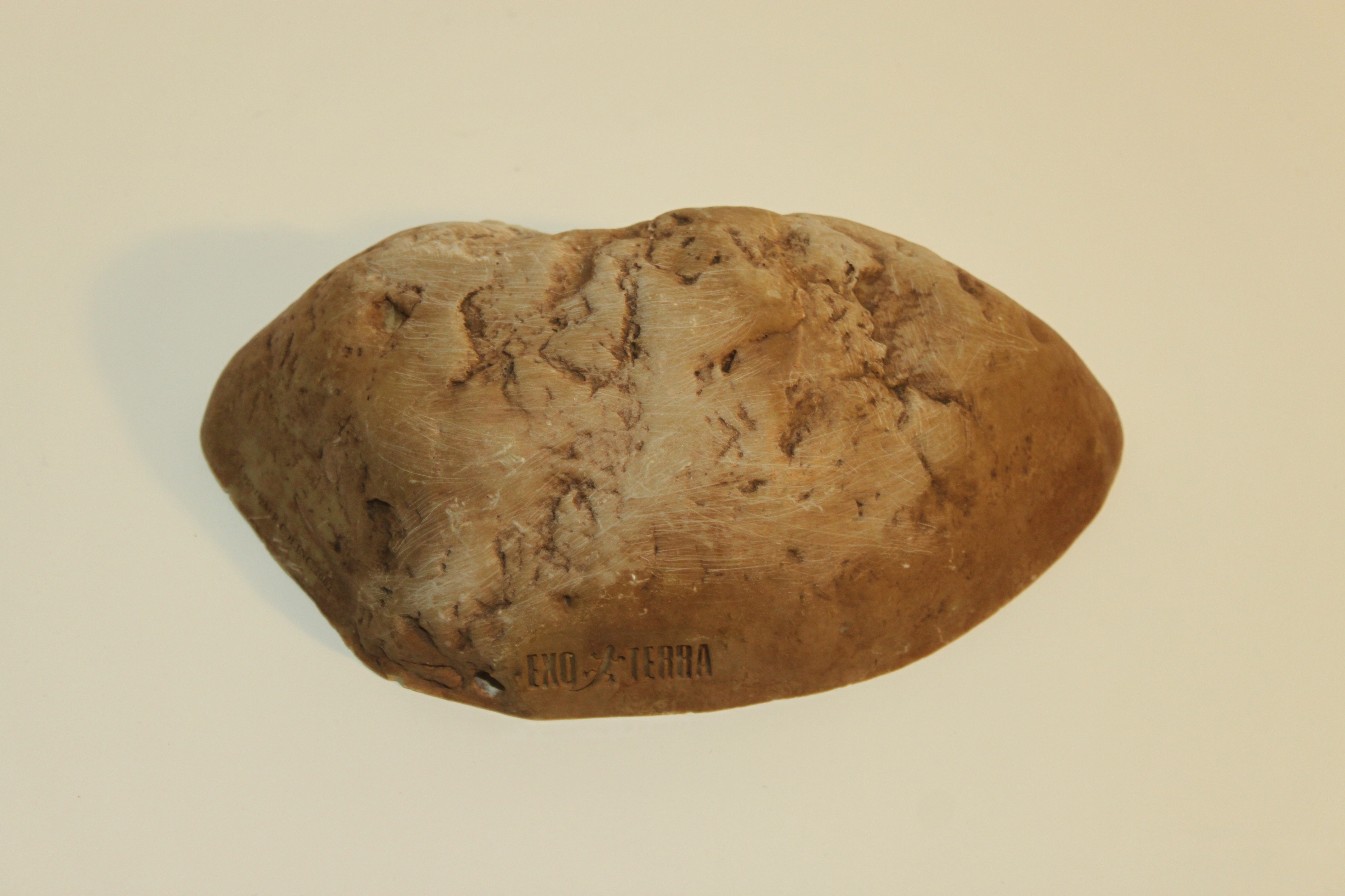 Exo Terra Hiding Cave - small - photo 2