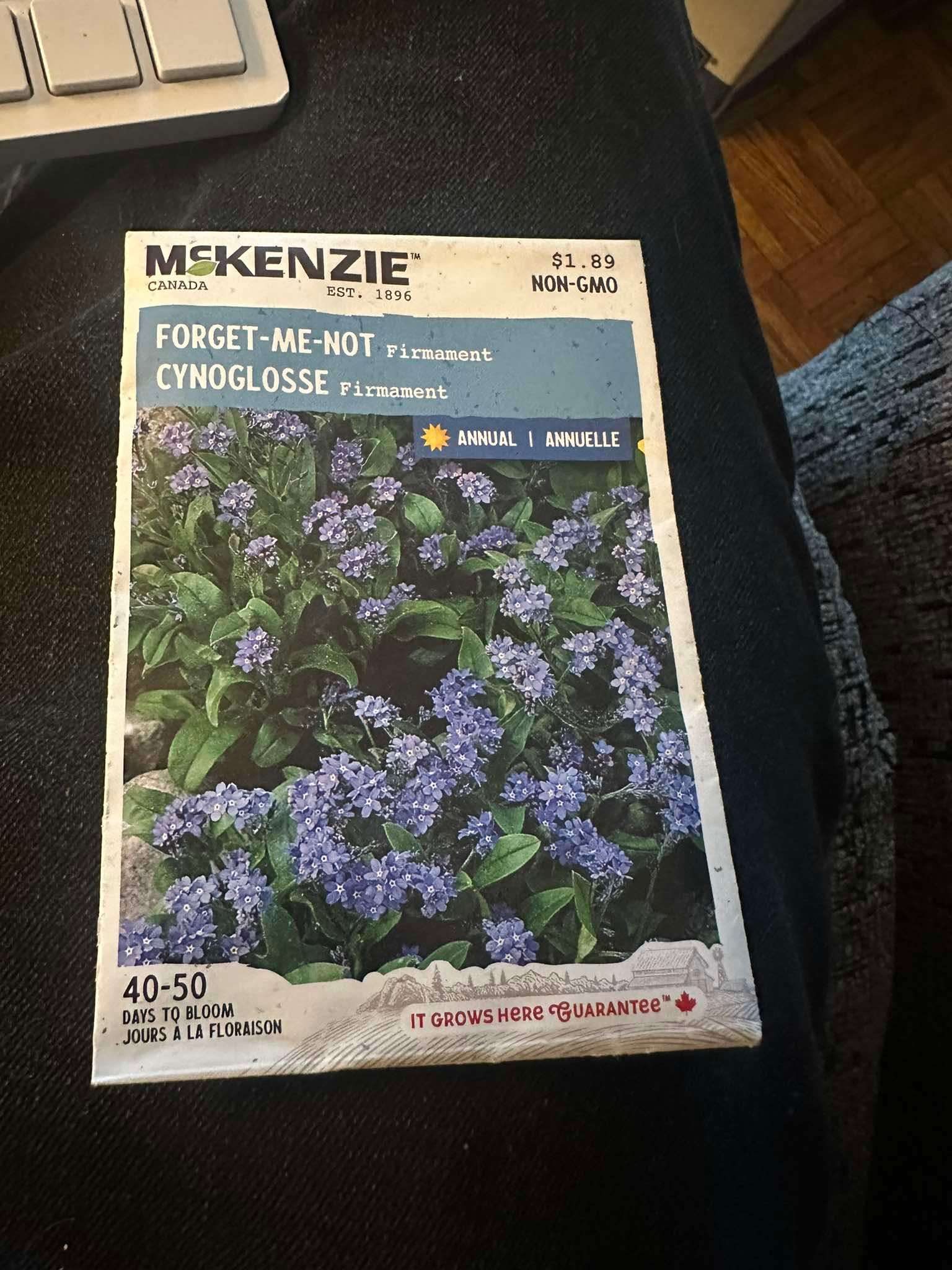 1 McKenzie Forget-Me-Not Firmament Seeds