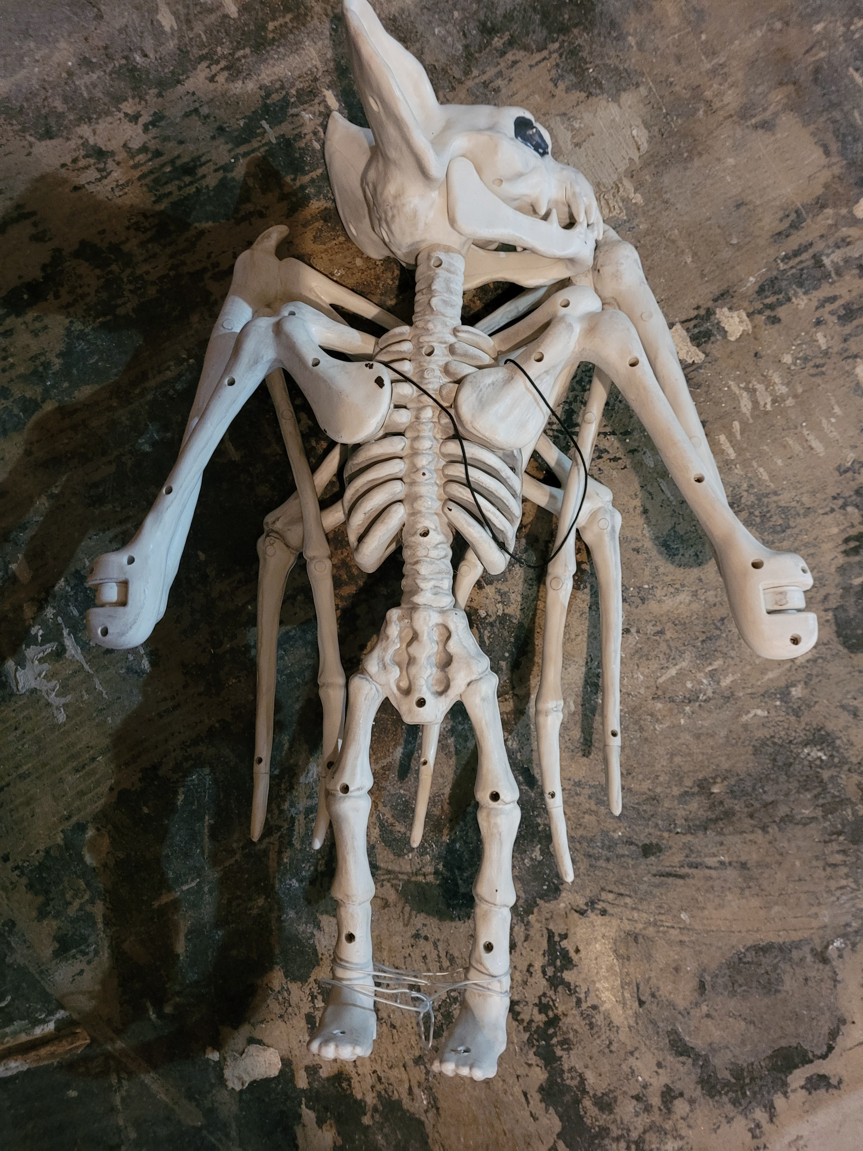 Halloween Decor Hanging Bat Skeleton