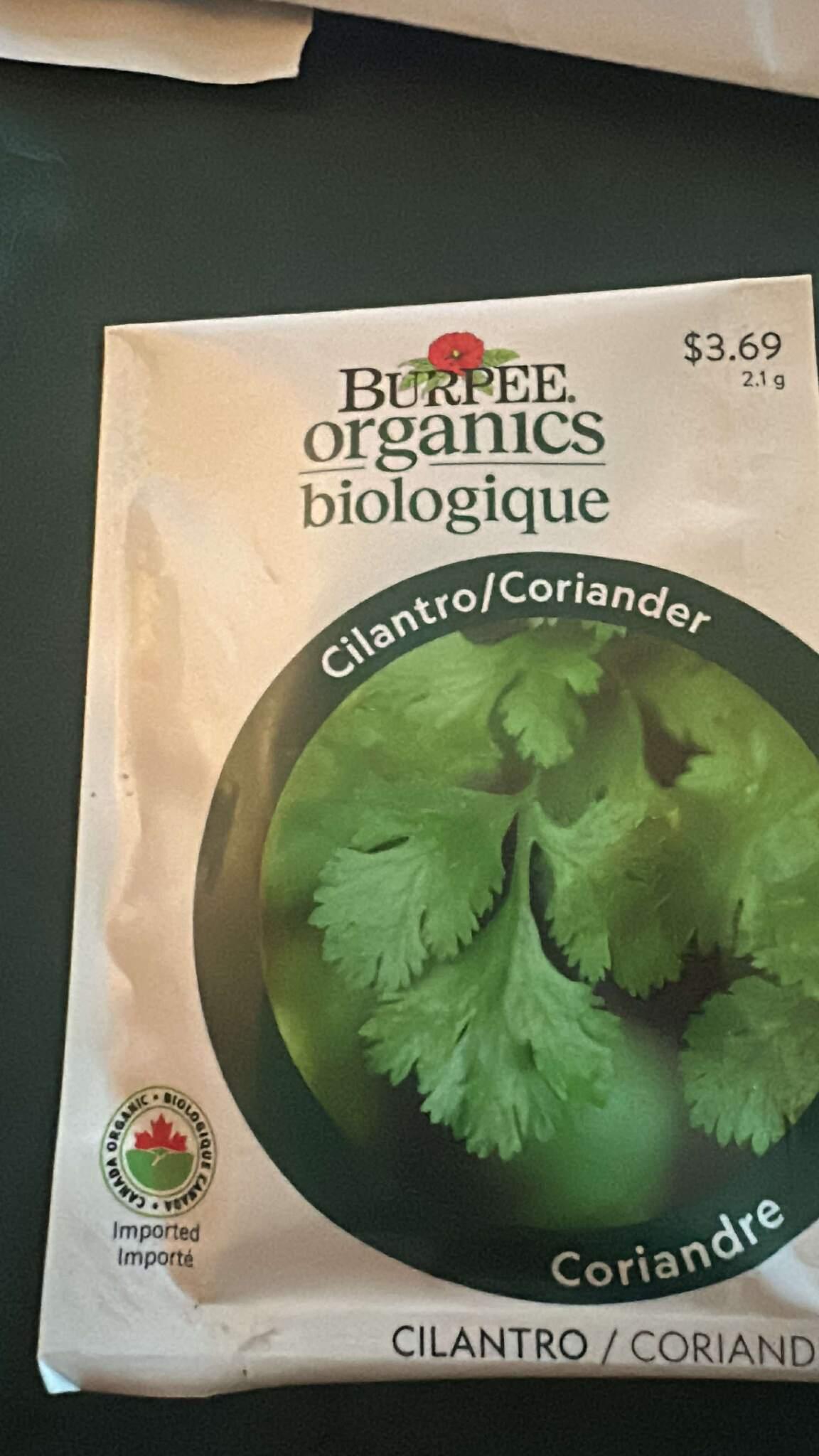 Burpee Organics Cilantro/Coriander Seeds