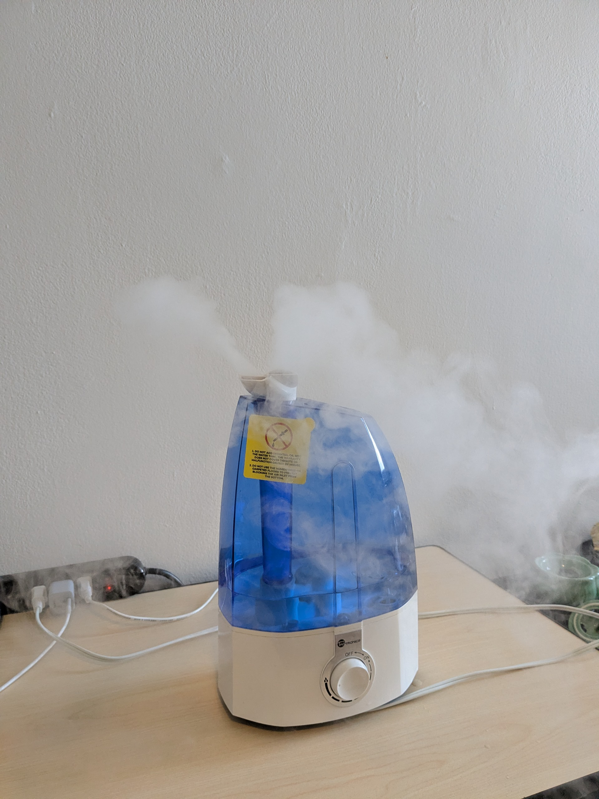 Quiet Ultrasonic Humidifier 💧 (Adjustable & Safe!)