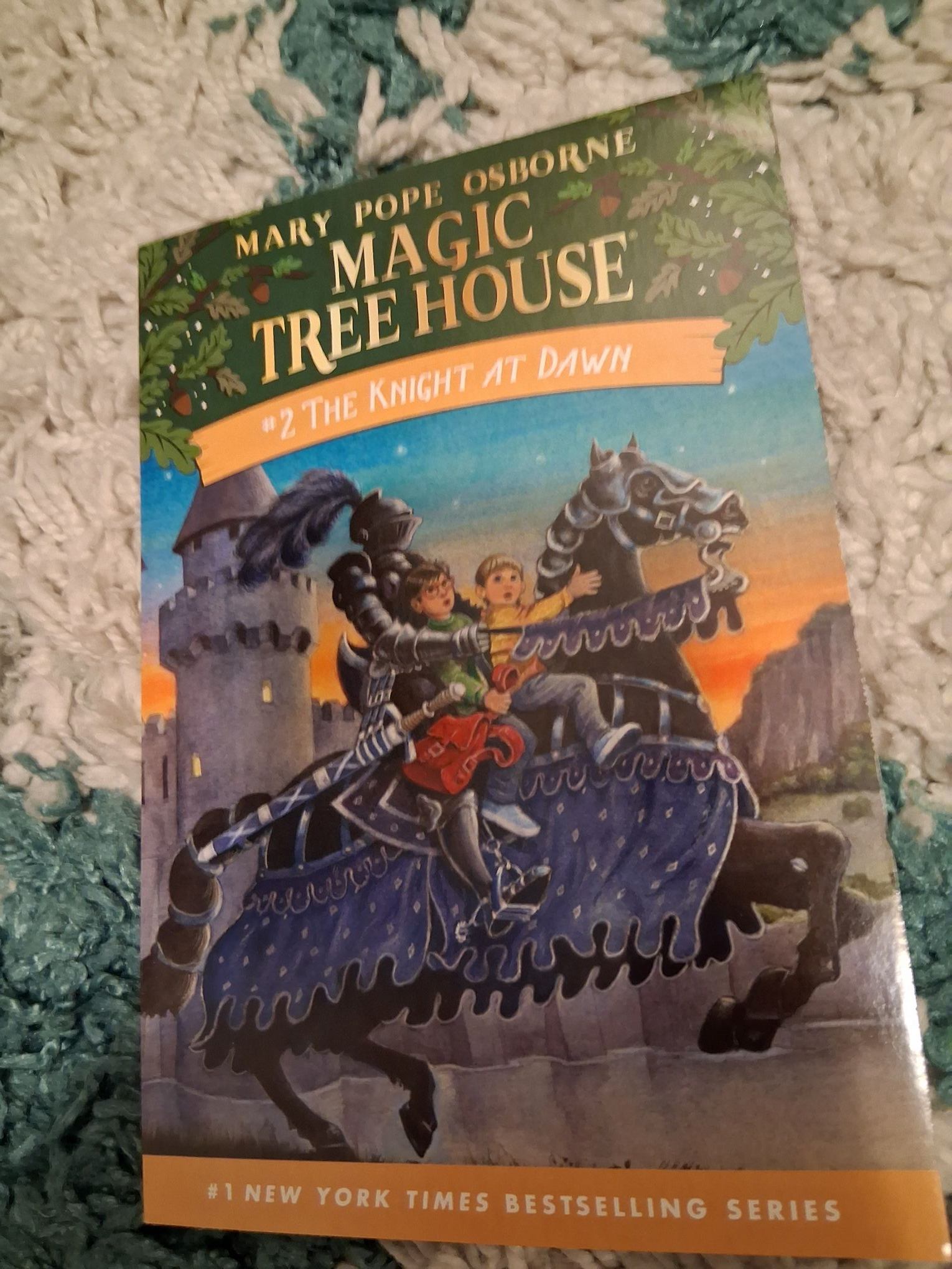 Magic tree house