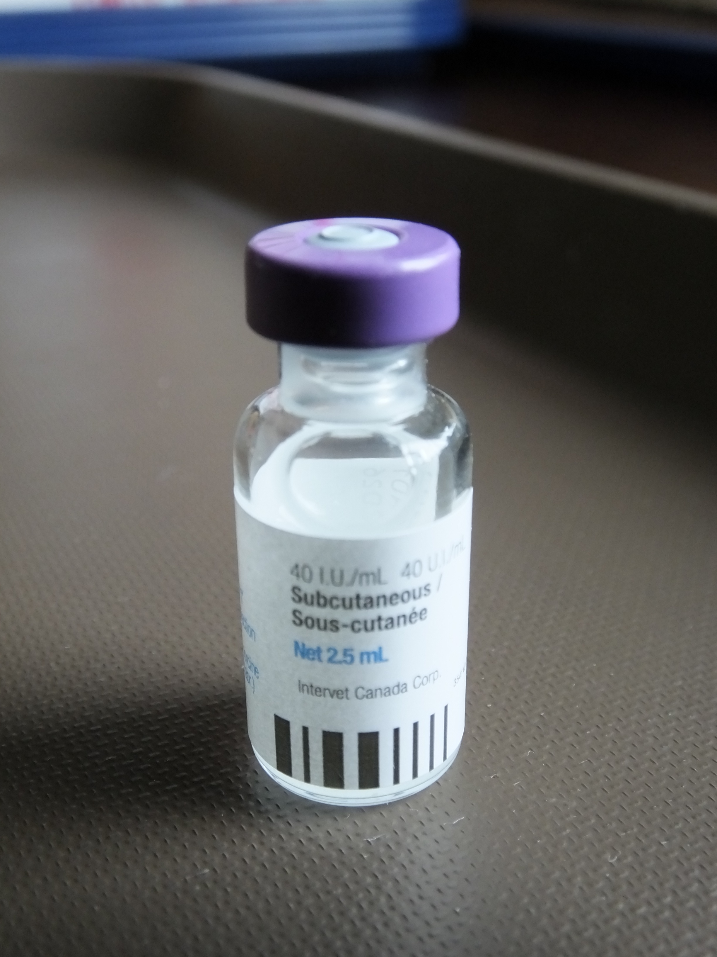 Caninsulin for Dogs & Cats + 12 U-40 insulin syringe (Brand New) - photo 3