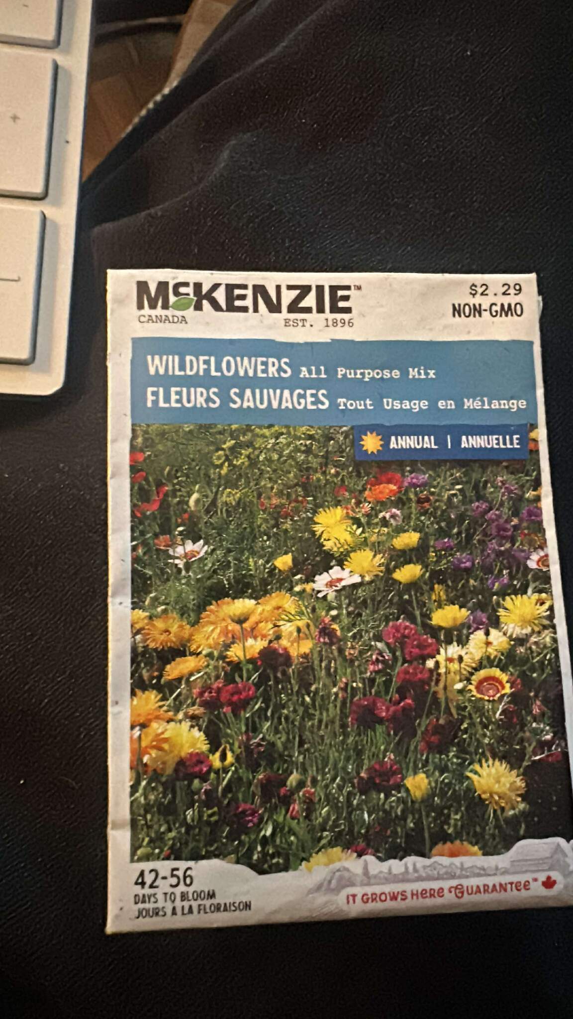1 McKenzie Wildflowers All Purpose Mix