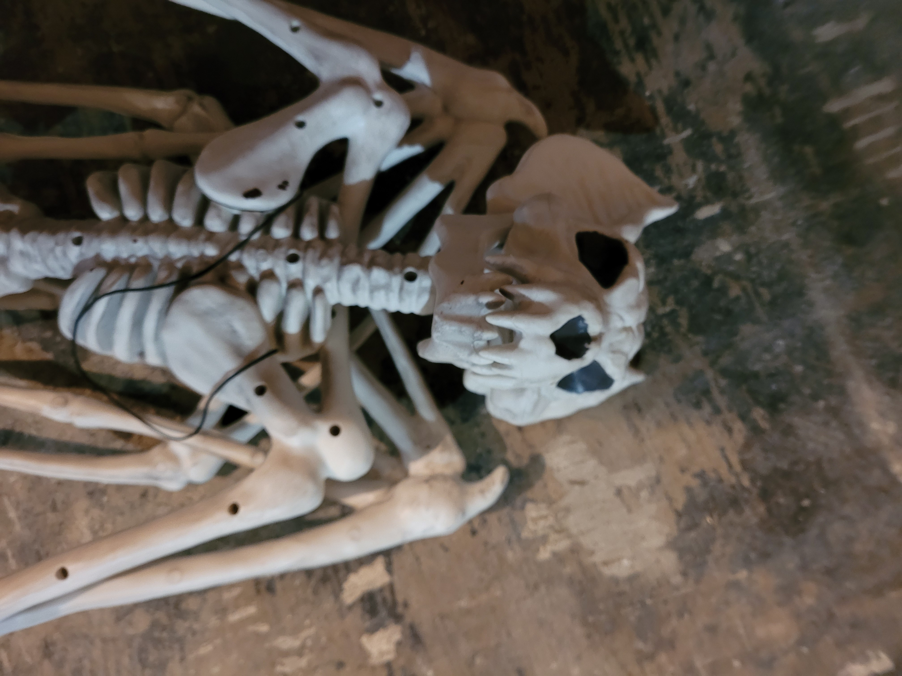 Halloween Decor Hanging Bat Skeleton - photo 2