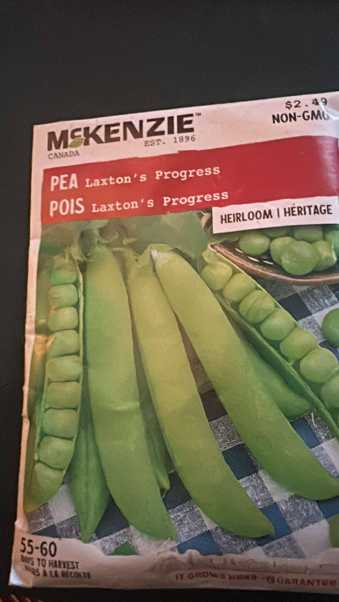 1 McKenzie Laxton's Progress Pea Seeds