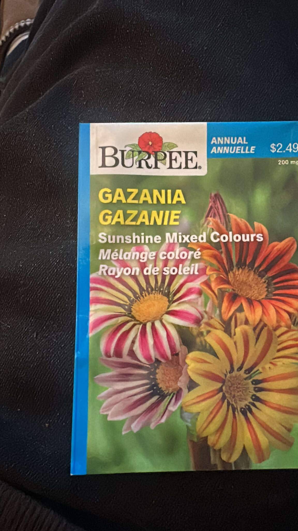 1 Burpee Gazania Sunshine Mixed Colours Seeds