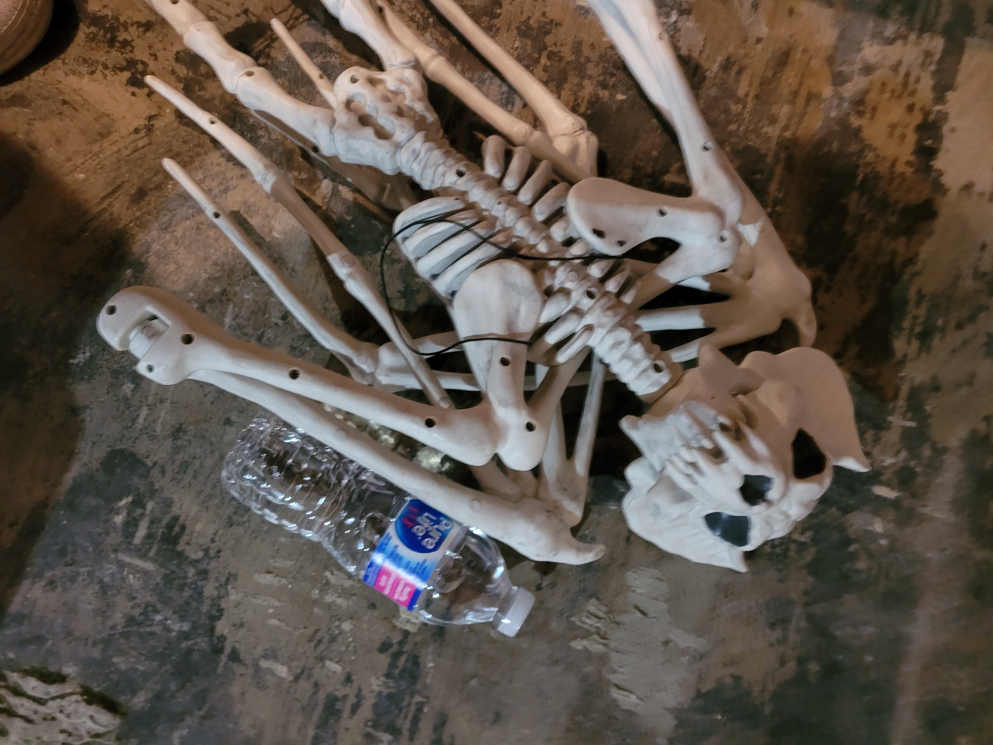 Halloween Decor Hanging Bat Skeleton - photo 3