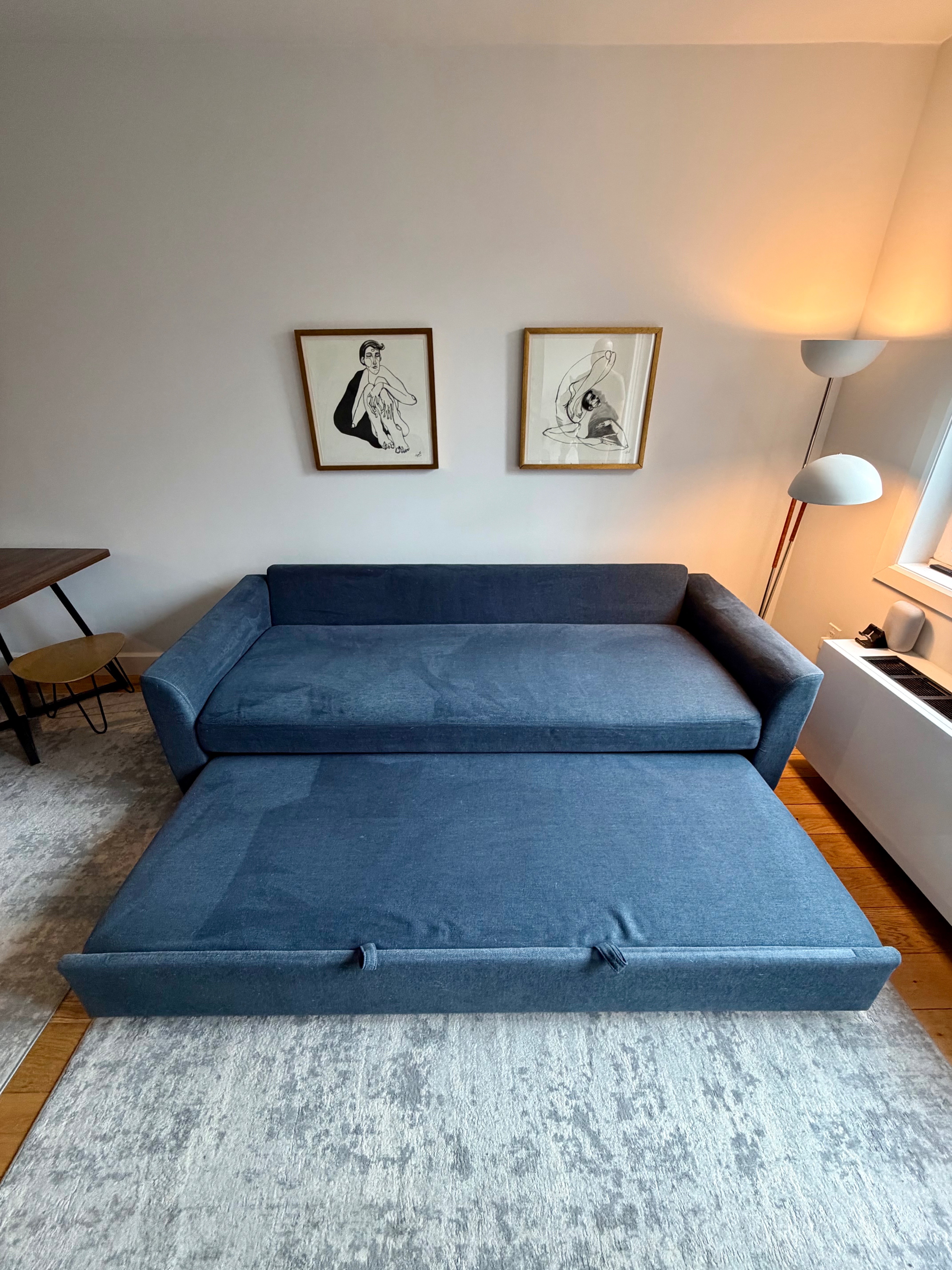 Beautiful Blue Sleeper Sofa – Queen Bed | Crate & Barrel - photo 5