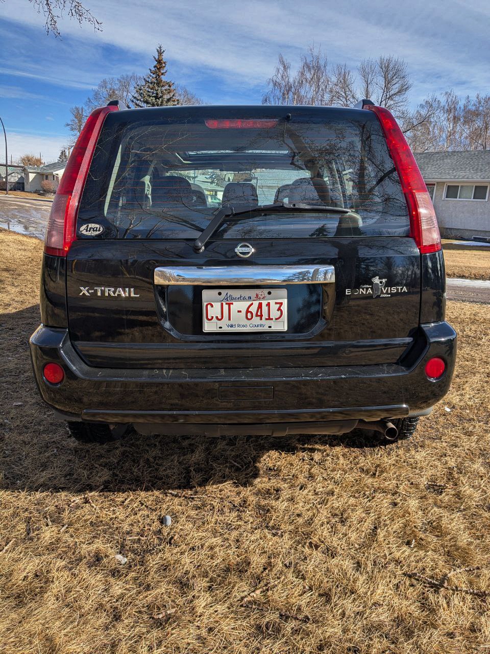 2006 Nissan X-Trail BonaVista Edition - photo 3