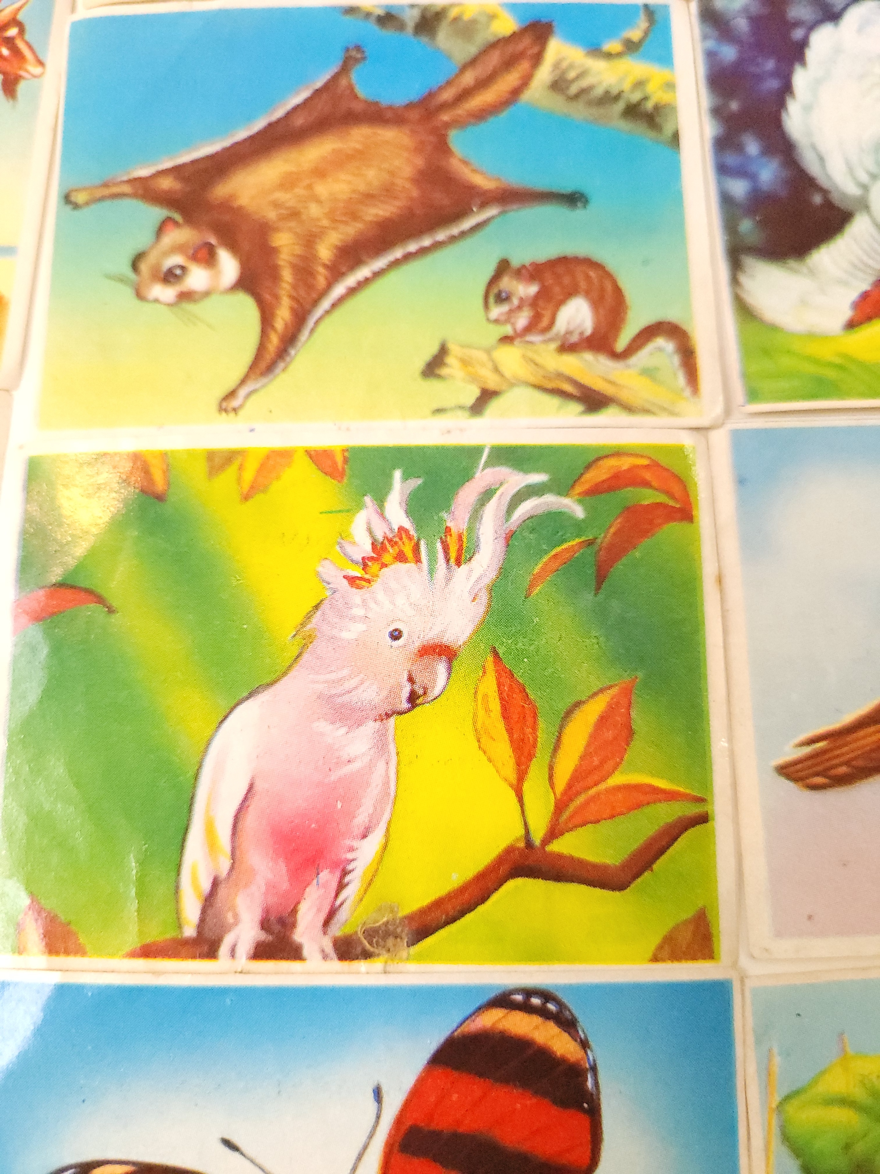 1970 Wonders of the Animal Kingdom Trading Cards Lot of 56 - photo 5