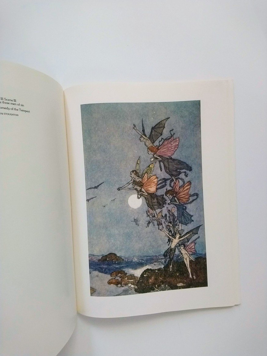 Dulac! - photo 3
