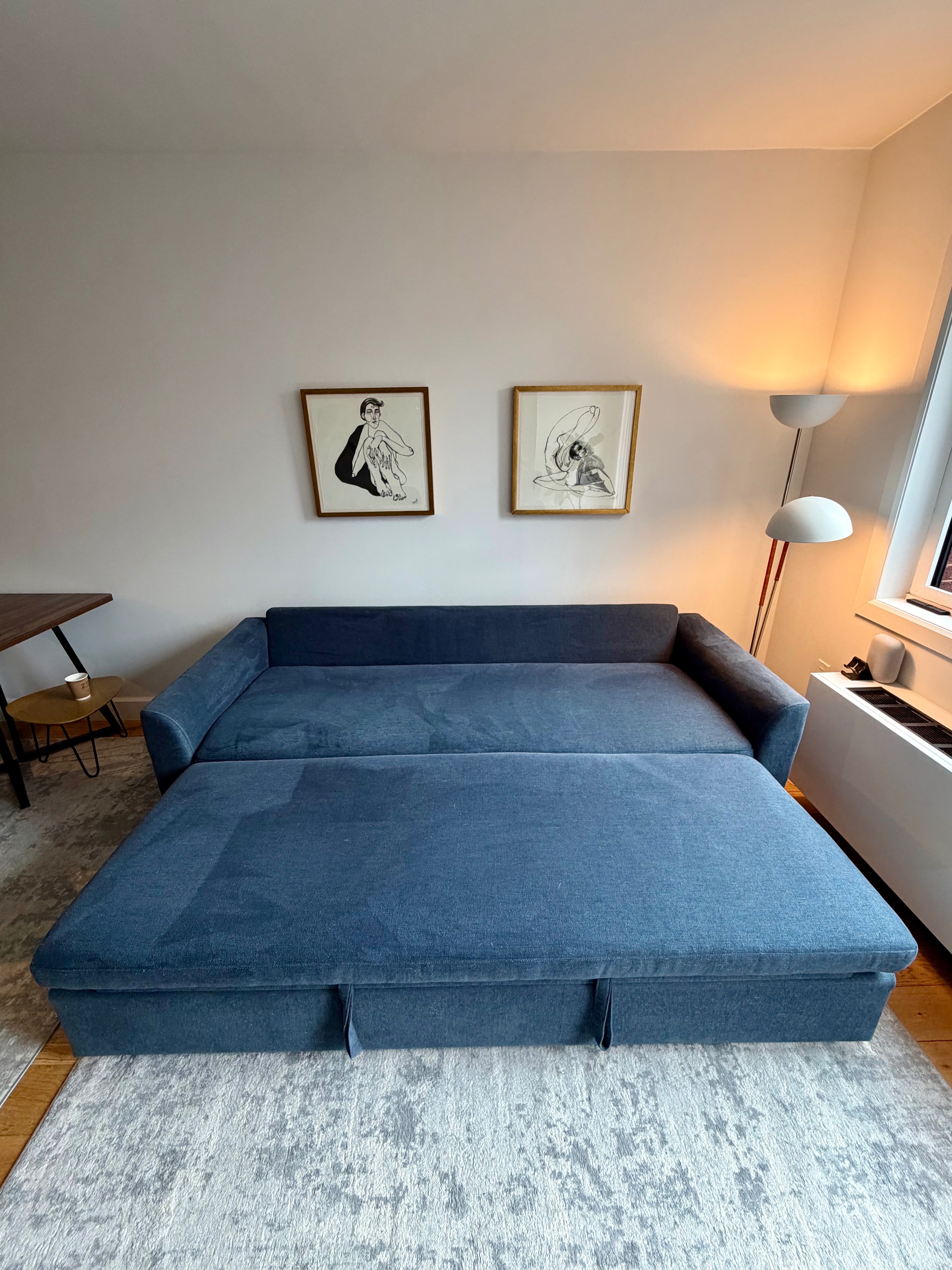 Beautiful Blue Sleeper Sofa – Queen Bed | Crate & Barrel - photo 4