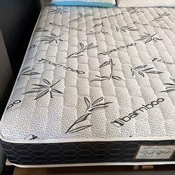 🛏️ Premium Mattresses & Box Springs for Sale! $90