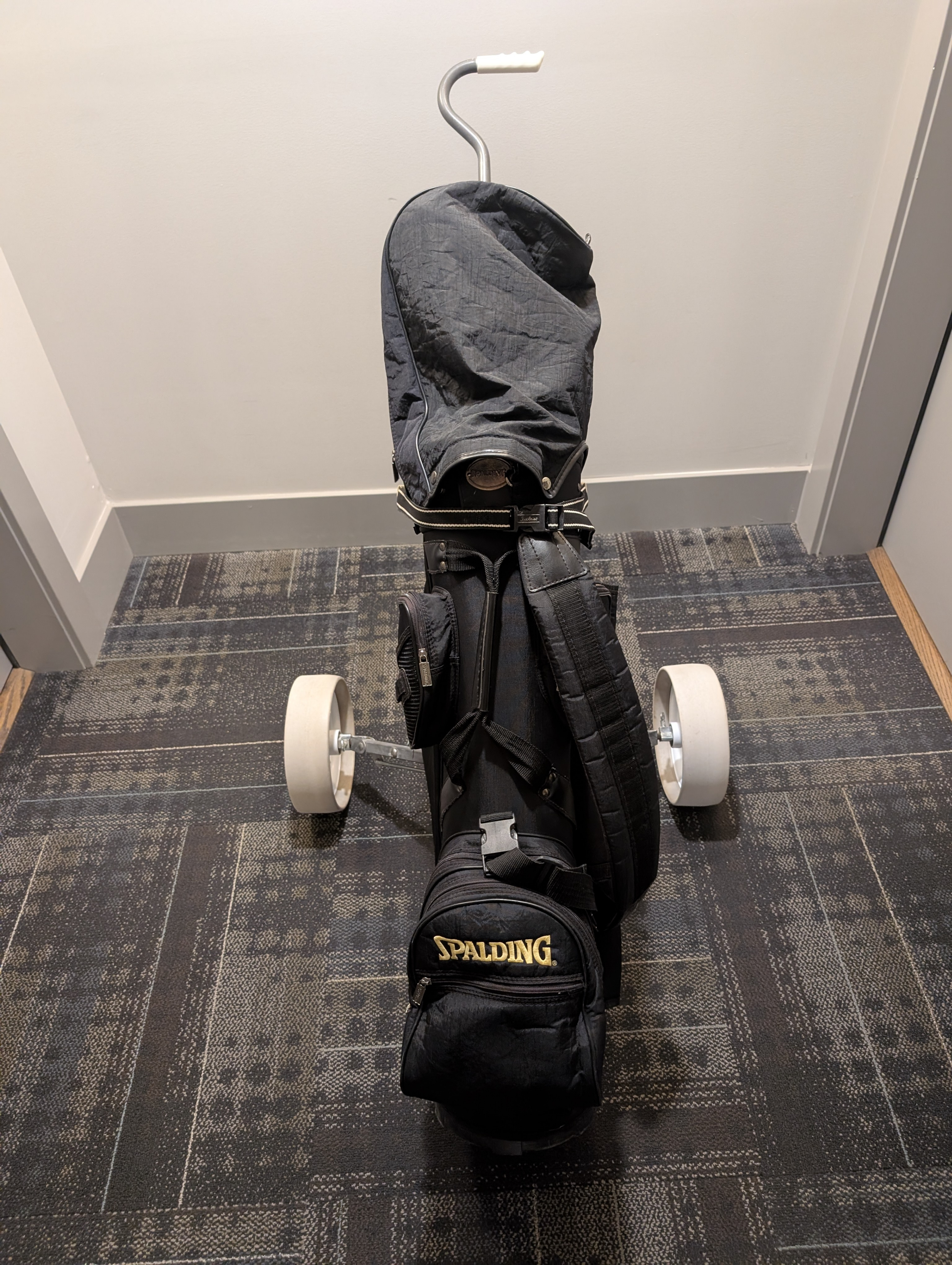 Spalding Golf Bag
