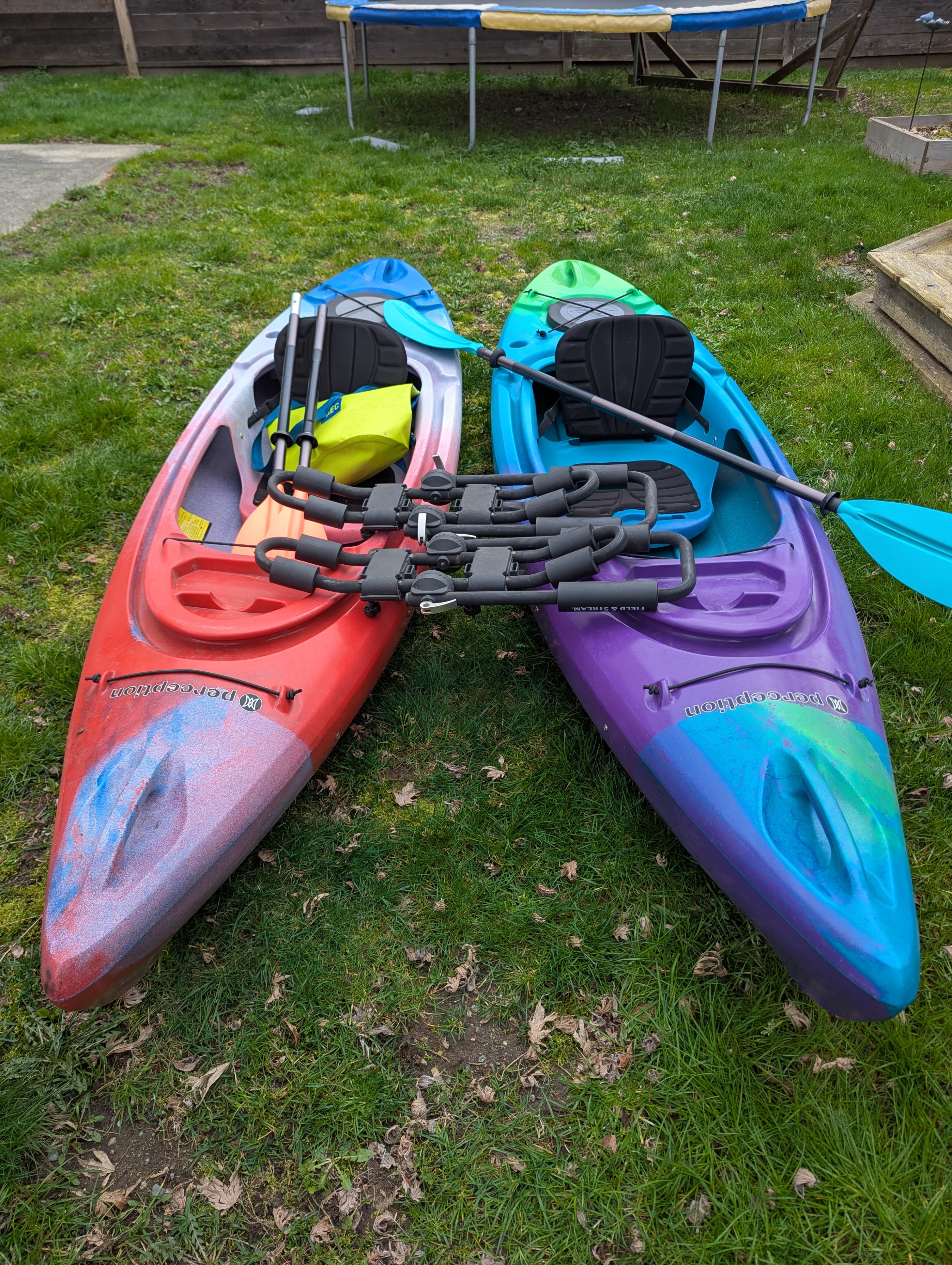 Complete Kayak setup w/ paddles and dry bags.