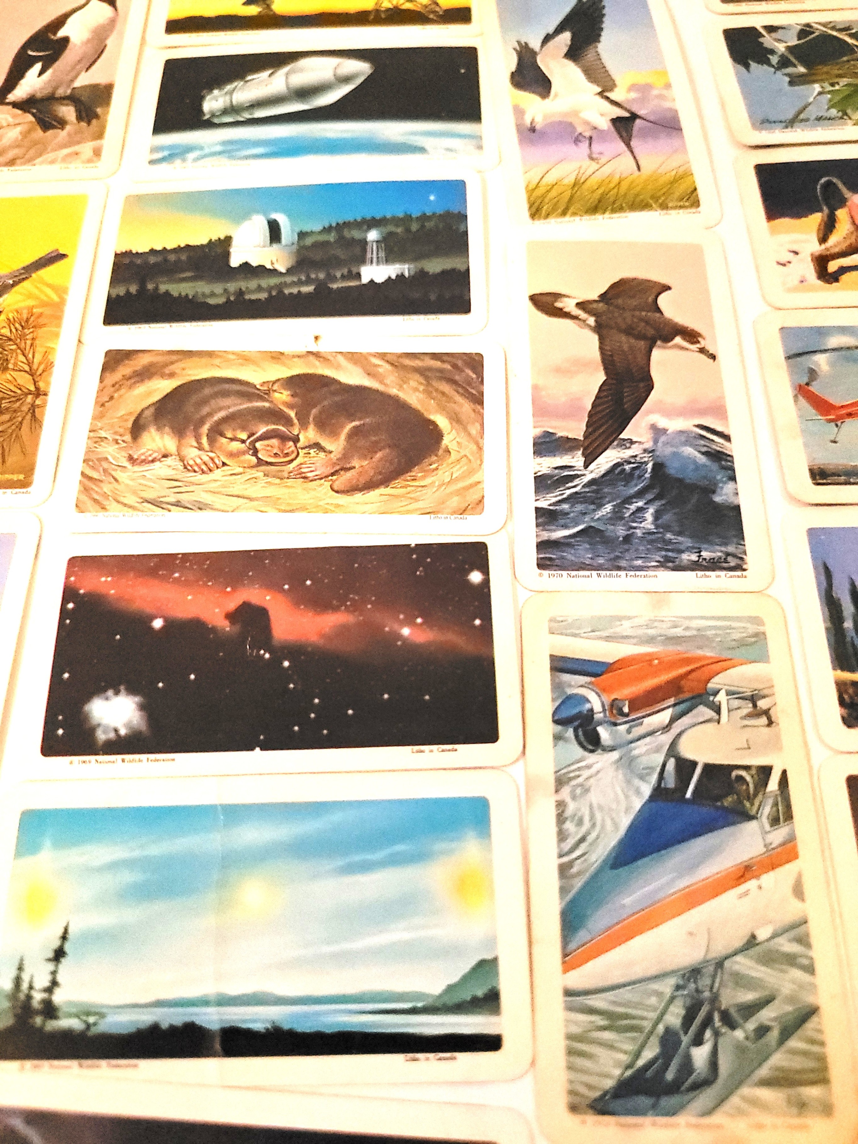 Lot of 189 Vintage Red Rose Tea Cards 1960-73 Space Age & Animal - photo 3