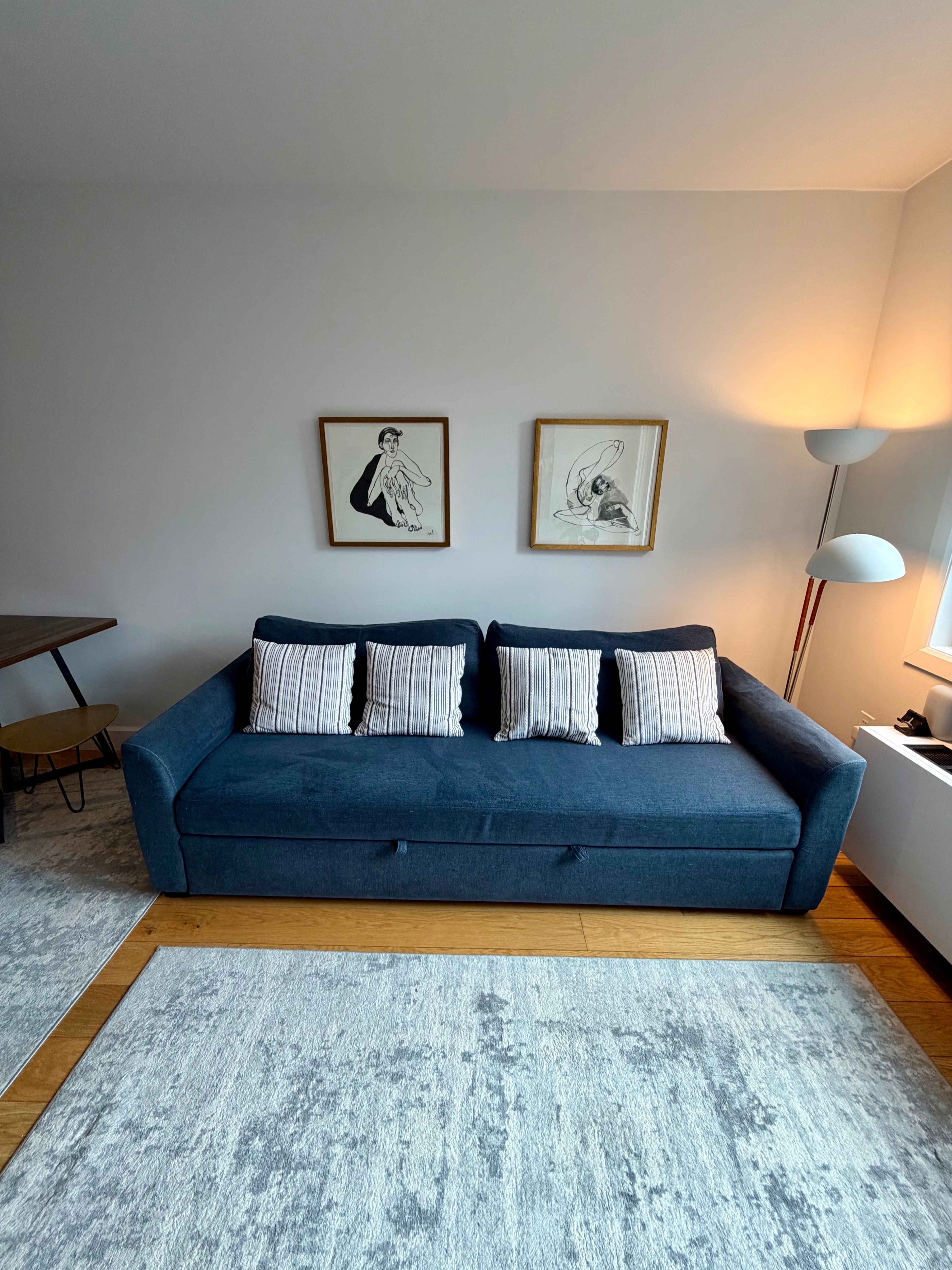 Beautiful Blue Sleeper Sofa – Queen Bed | Crate & Barrel
