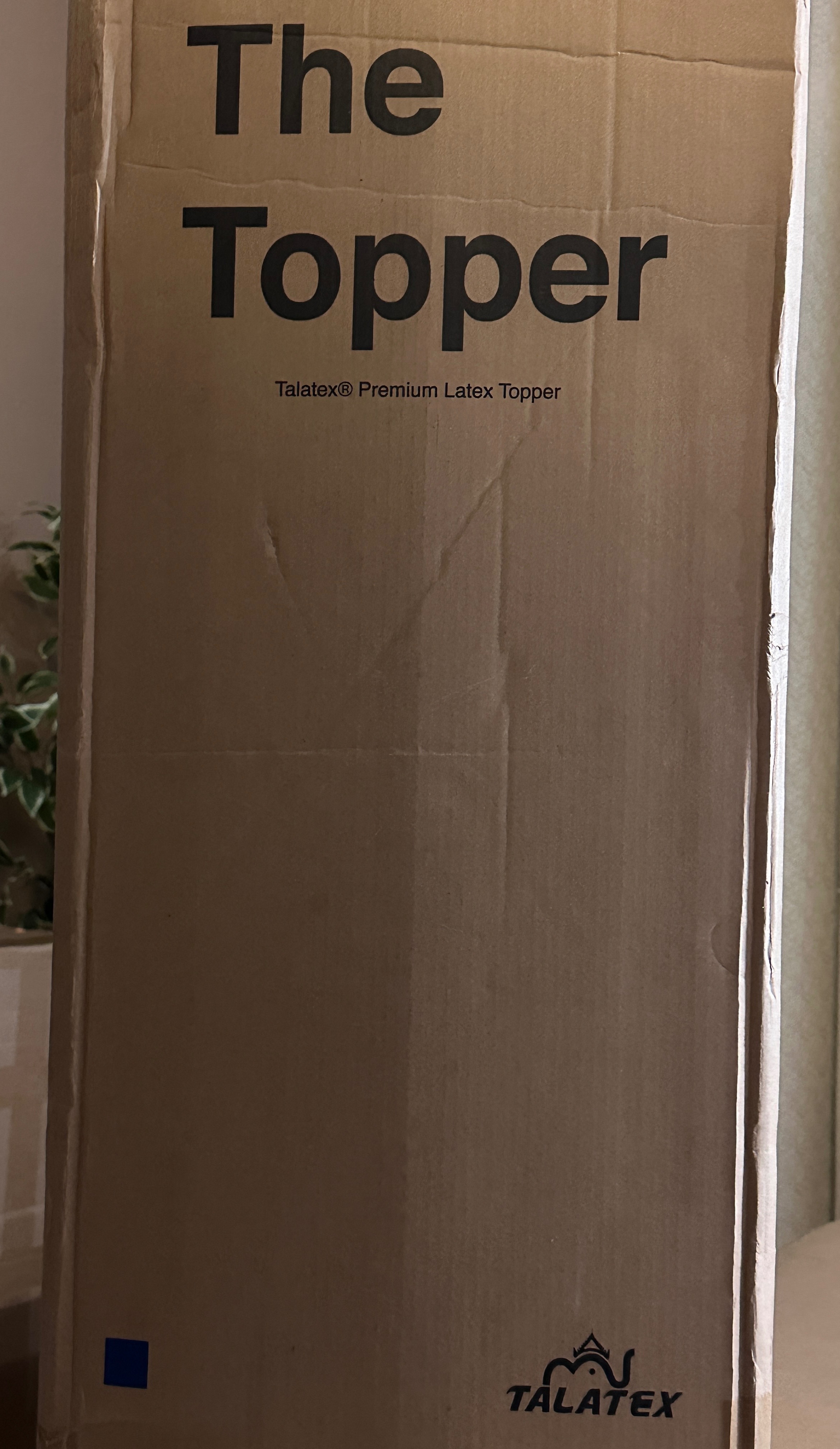 Premium Natural Latex Mattress Topper 2" Organic Cotton Cover - photo 2
