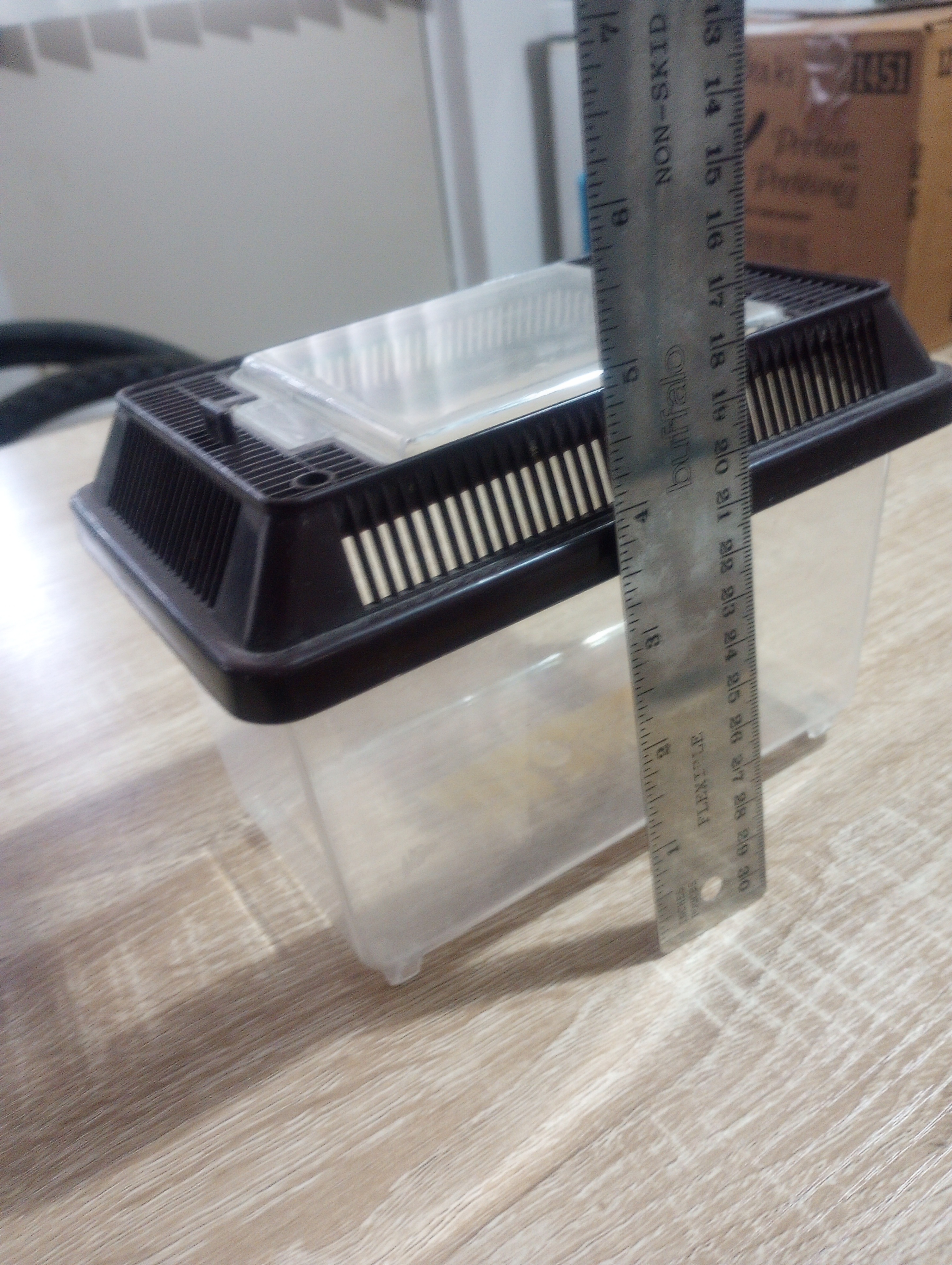 Small Portable Plastic Terrarium - photo 2