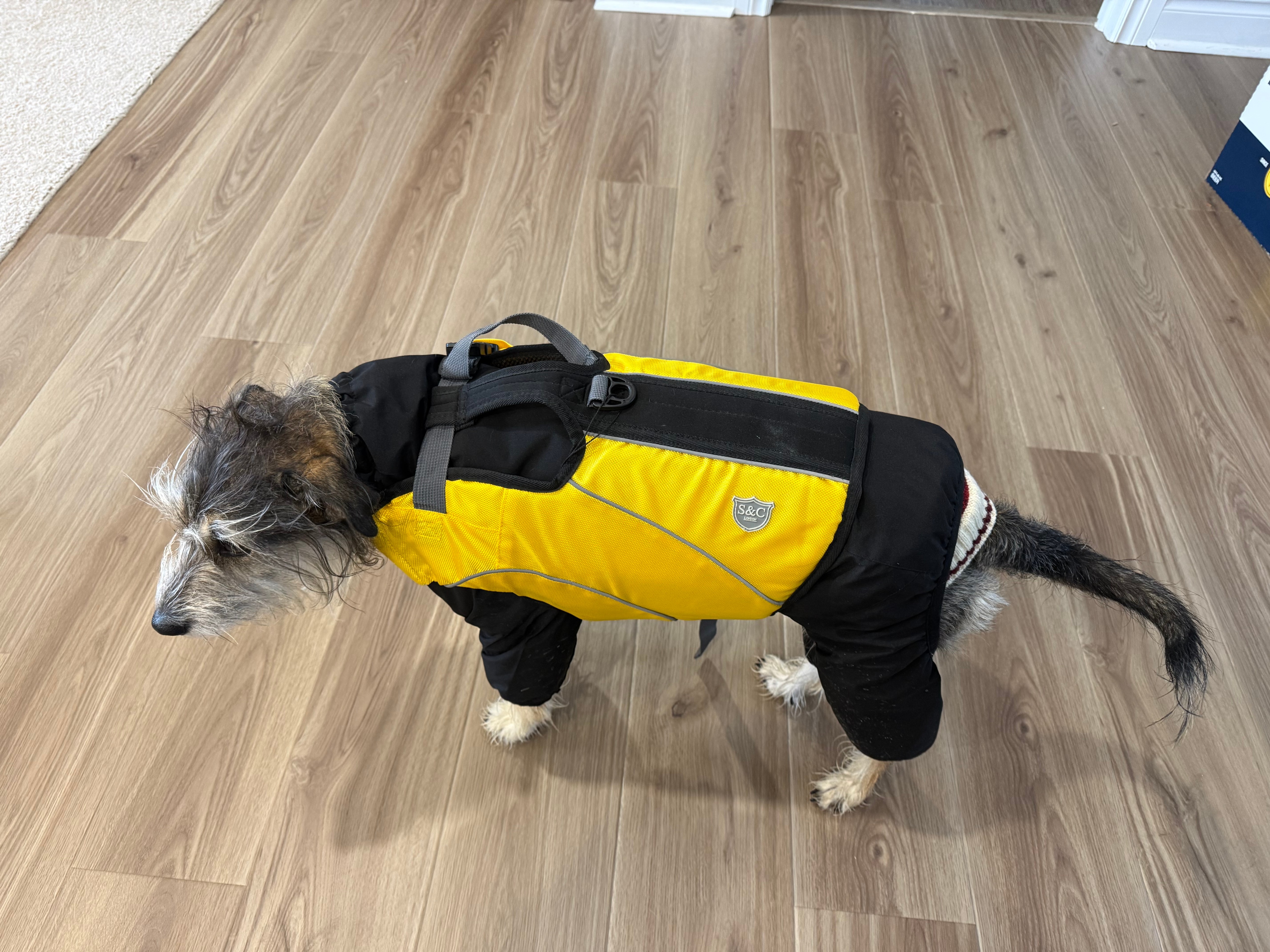 Dog Life Jacket/Flotation Vest, Waterproof - photo 4