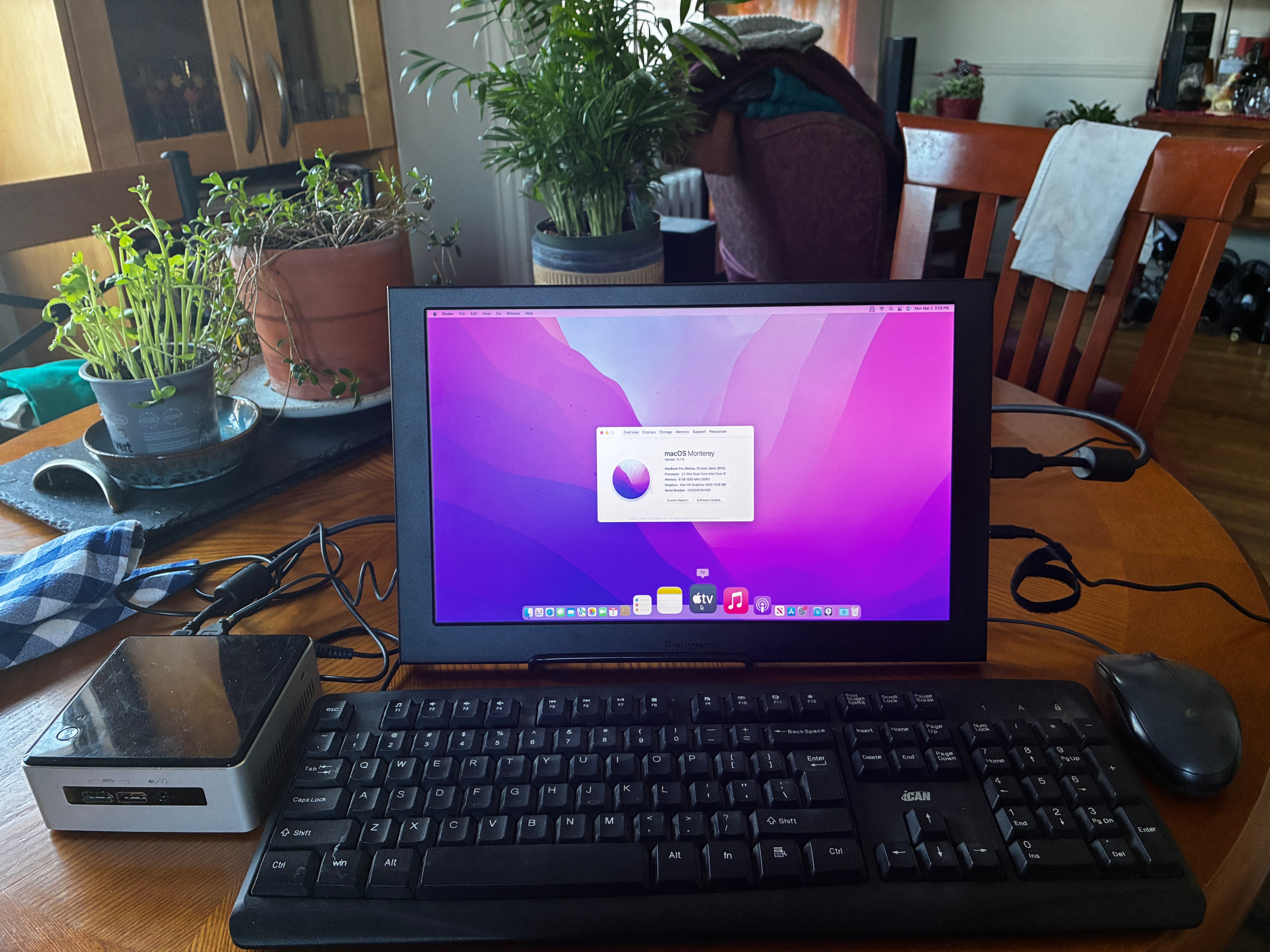 Intel NUC Desktop HACKINTOSH MacOS!!