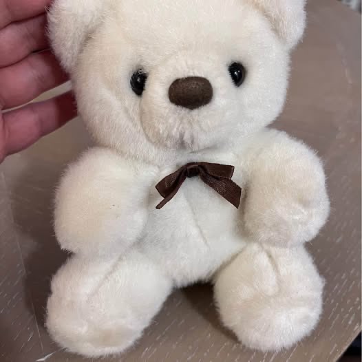Vintage Wind Up Musical Teddy Bear Plush Toy