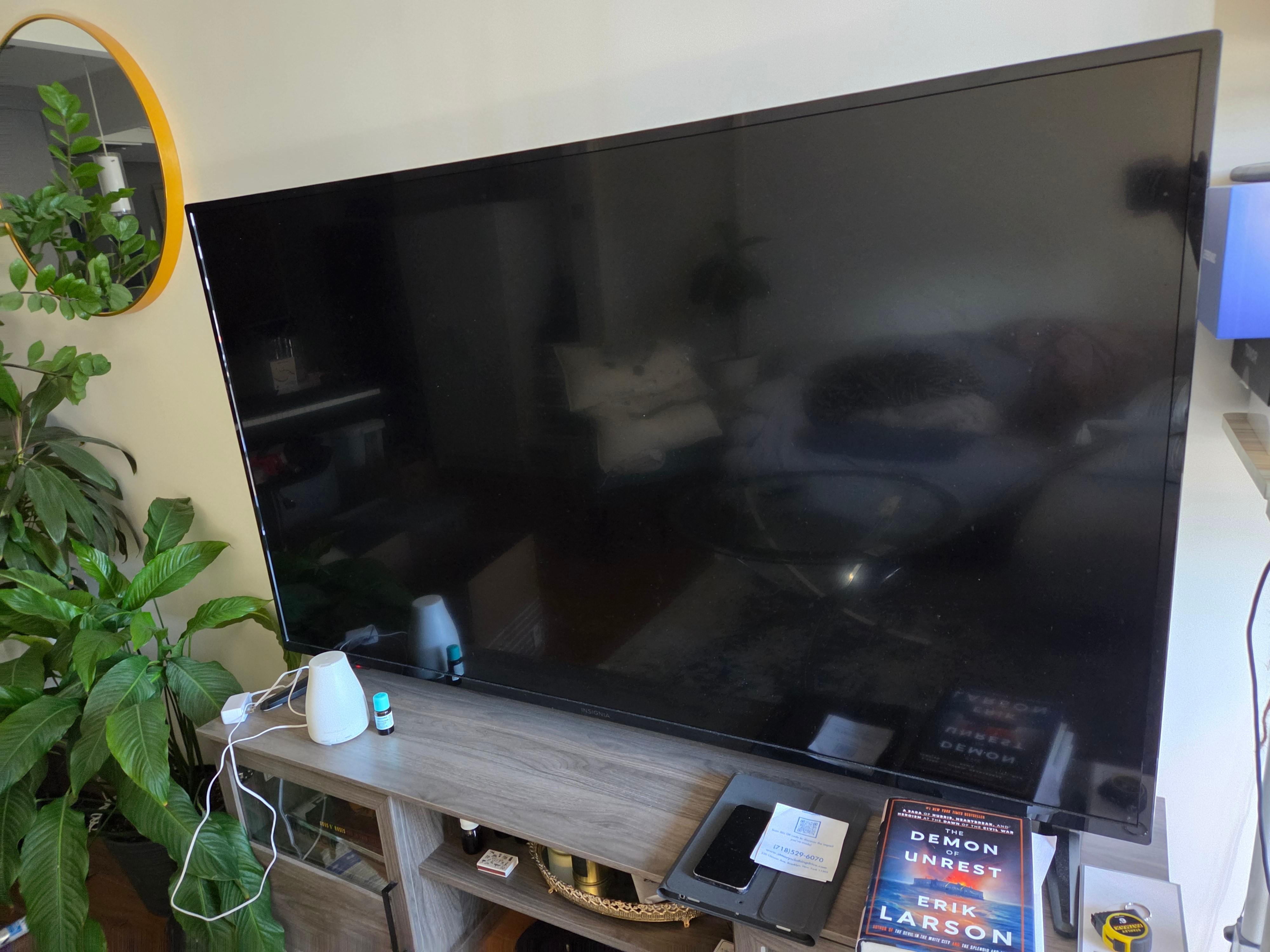 Insignia 65" LCD SMART Fire TV - photo 2