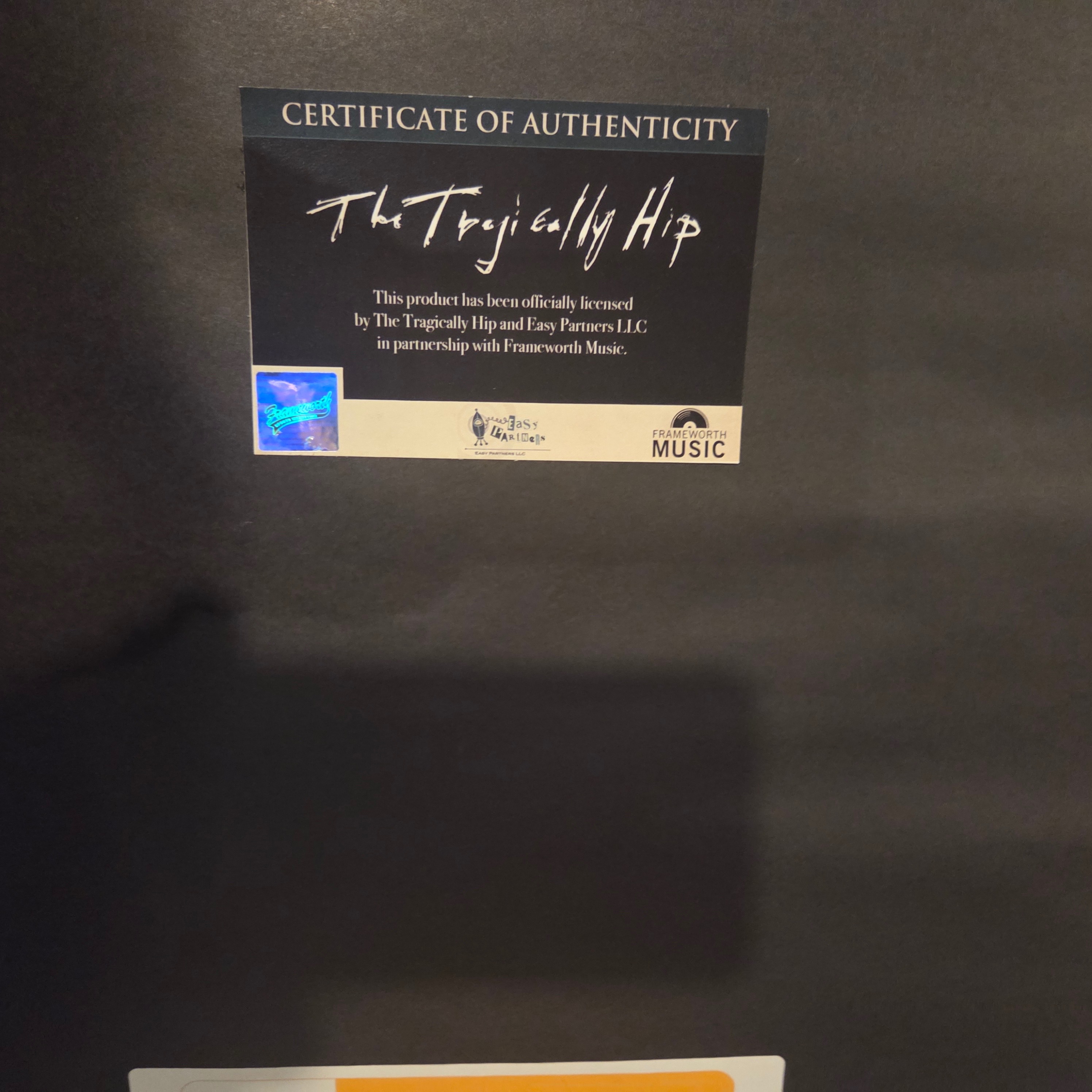 Tragically Hip Memorabilia - photo 4