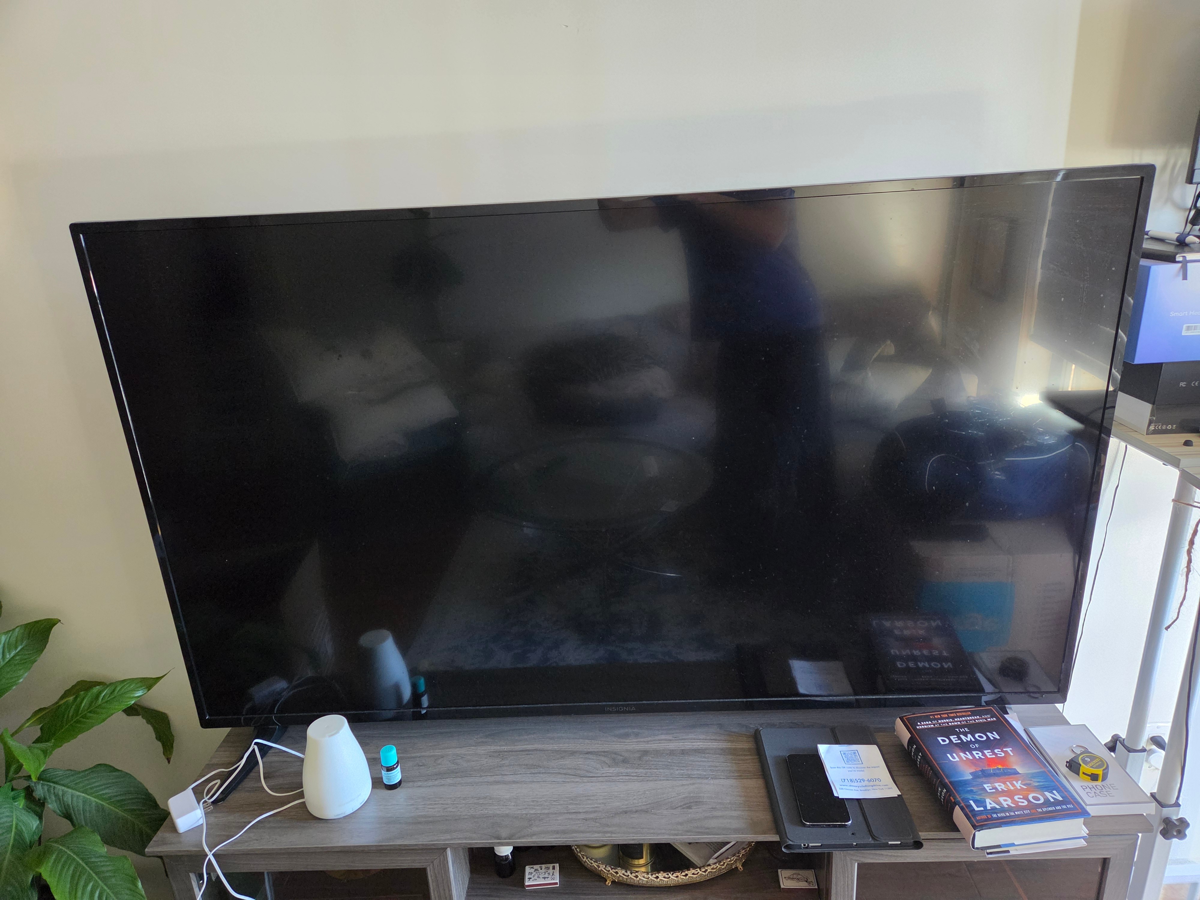 Insignia 65" LCD SMART Fire TV