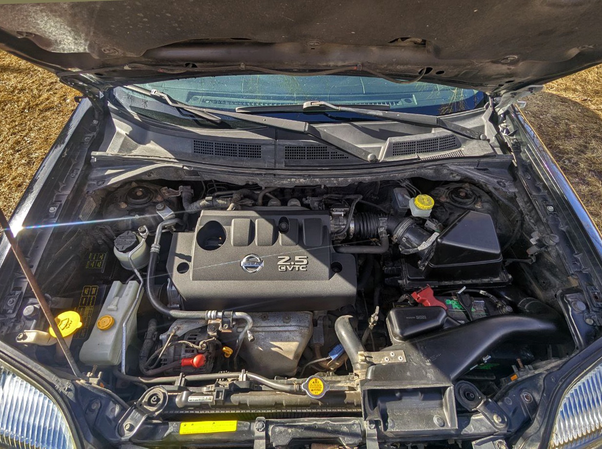 2006 Nissan X-Trail BonaVista Edition - photo 5