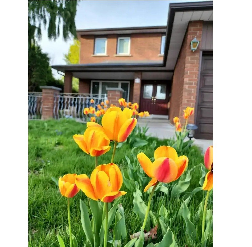 separate entrance BSM $2000 at Dufferin+Steeles