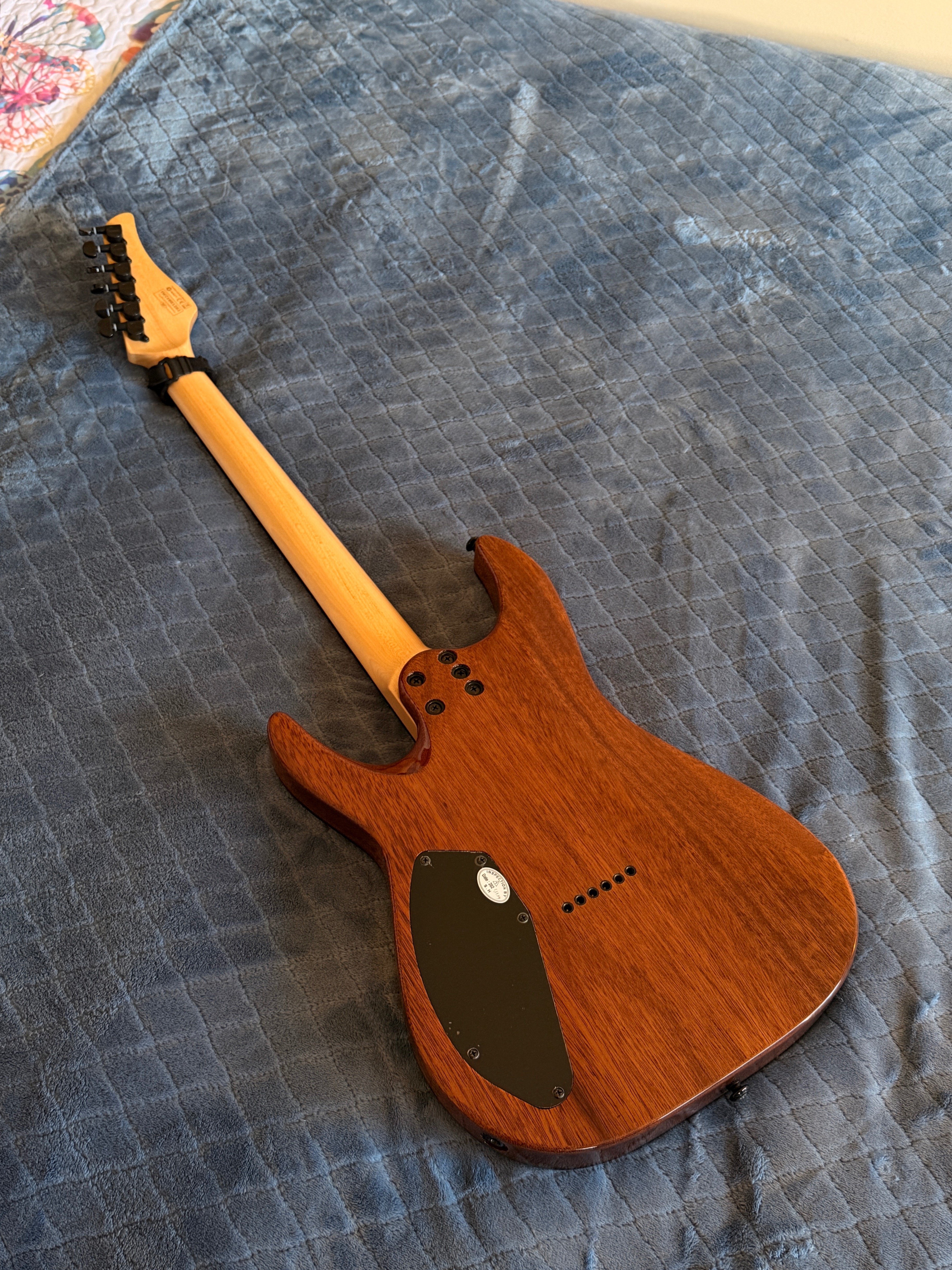 Schecter C6-Pro Electric Guitar - photo 2