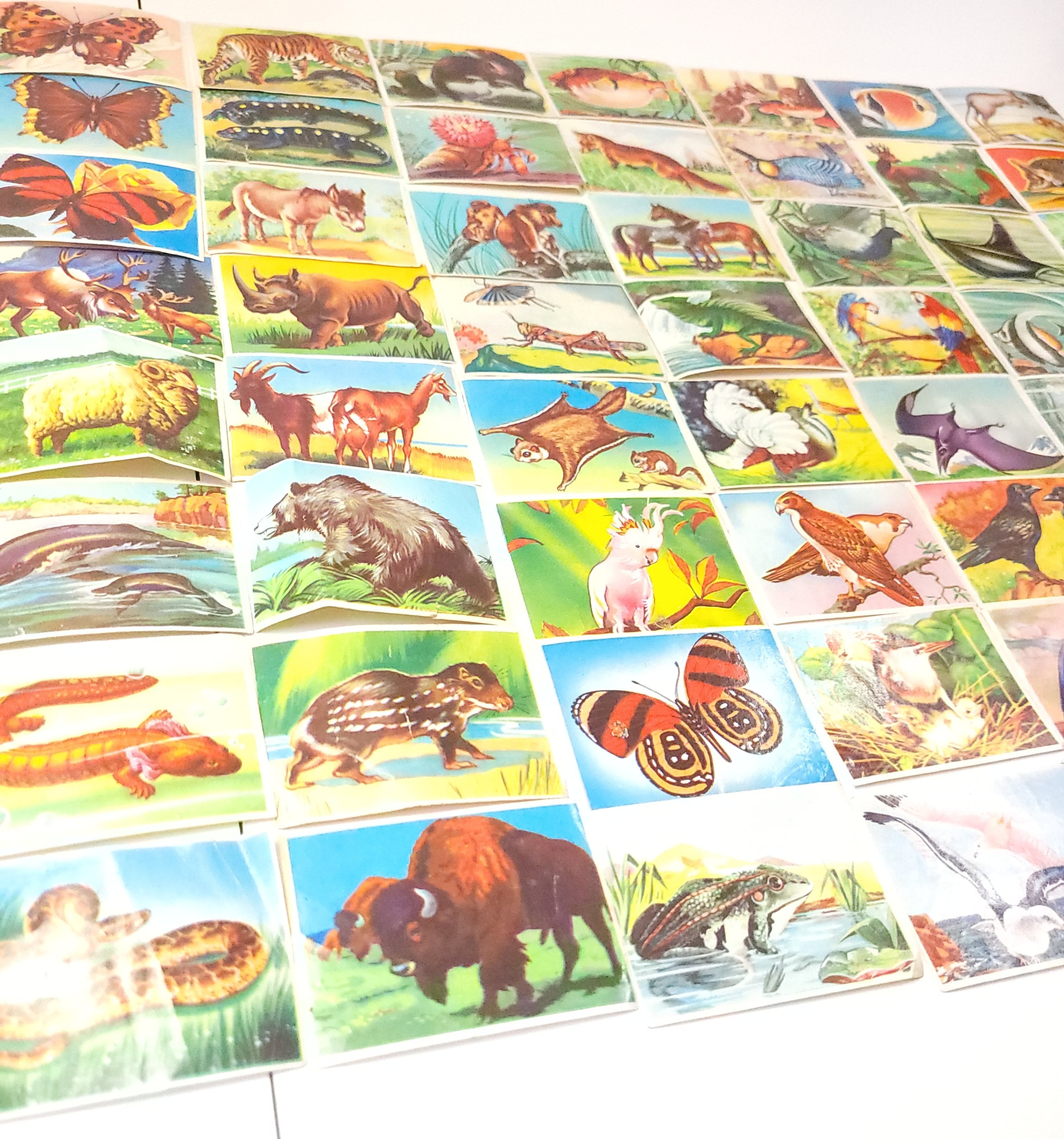 1970 Wonders of the Animal Kingdom Trading Cards Lot of 56 - photo 2