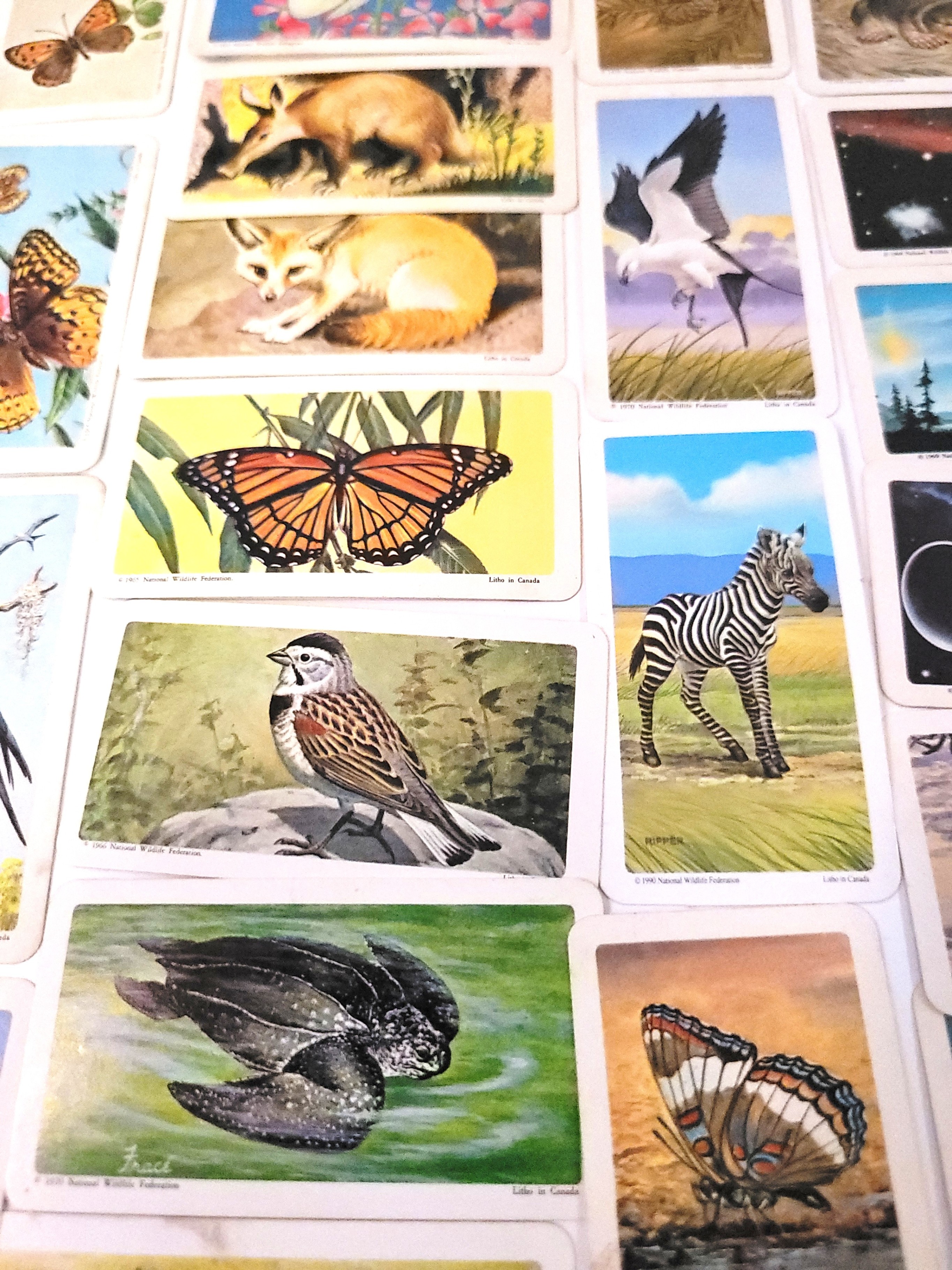 Lot of 189 Vintage Red Rose Tea Cards 1960-73 Space Age & Animal - photo 4